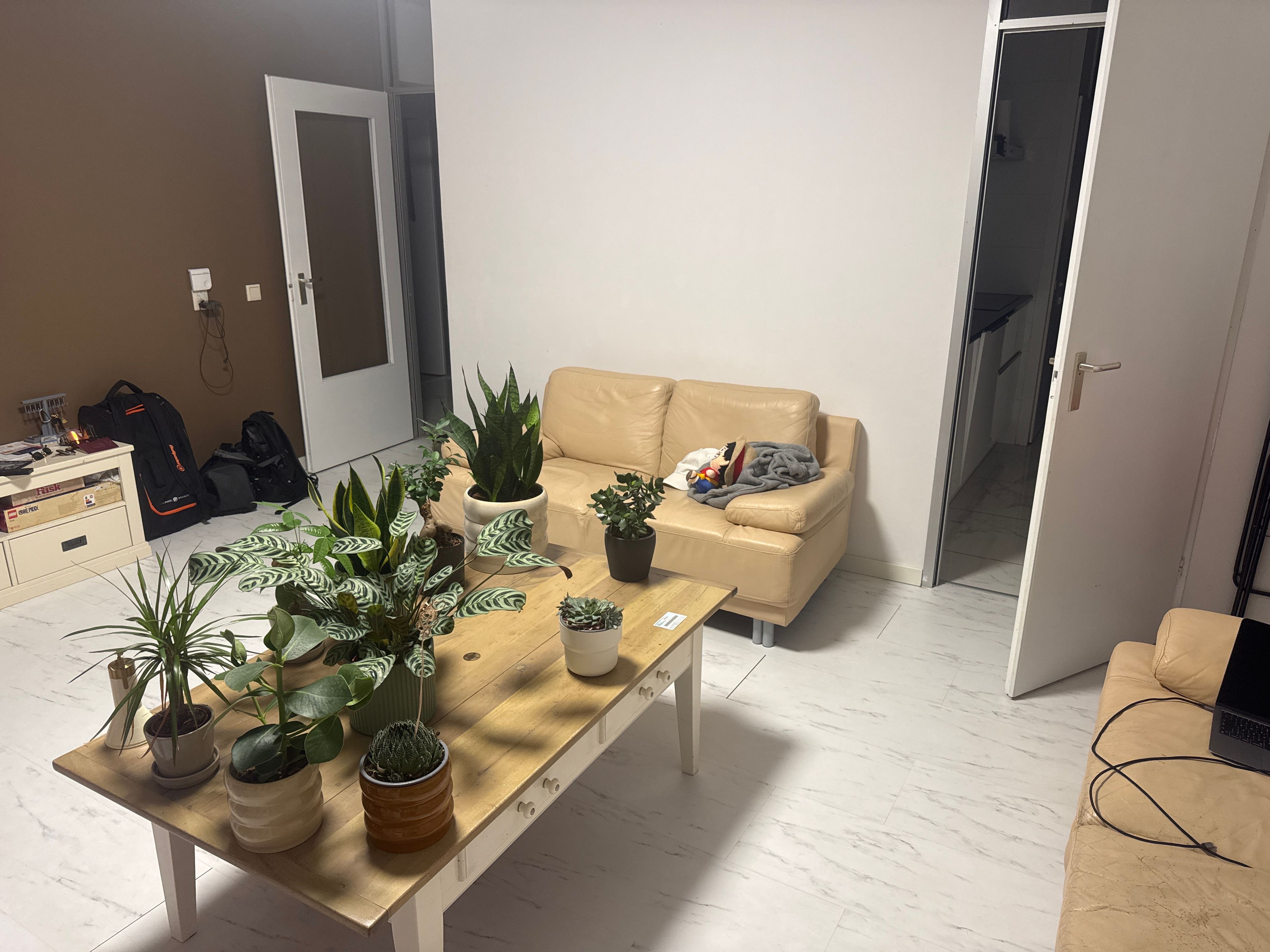 image-7