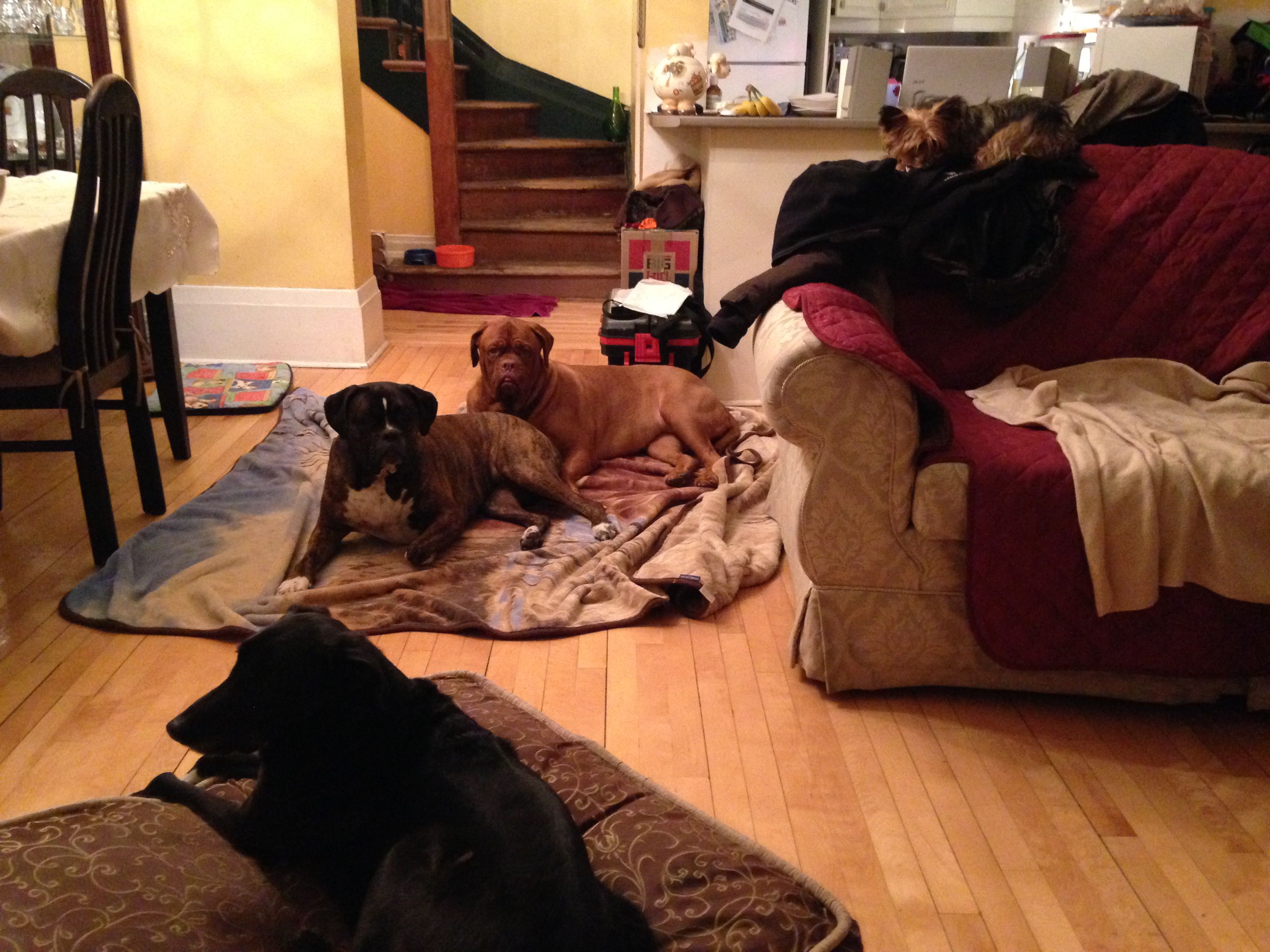 image-5