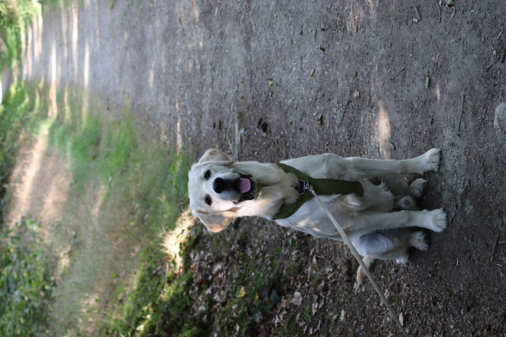 image-5