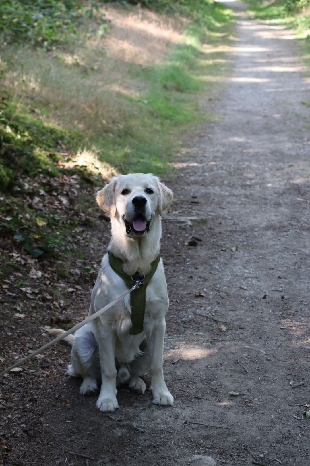 image-5