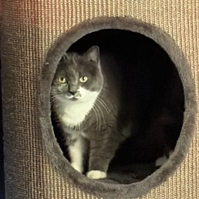 Zoe