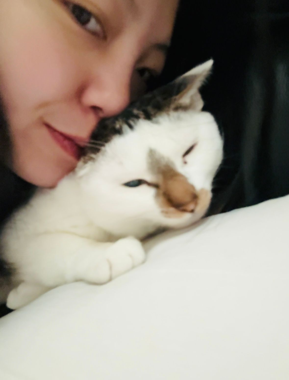 image-20
