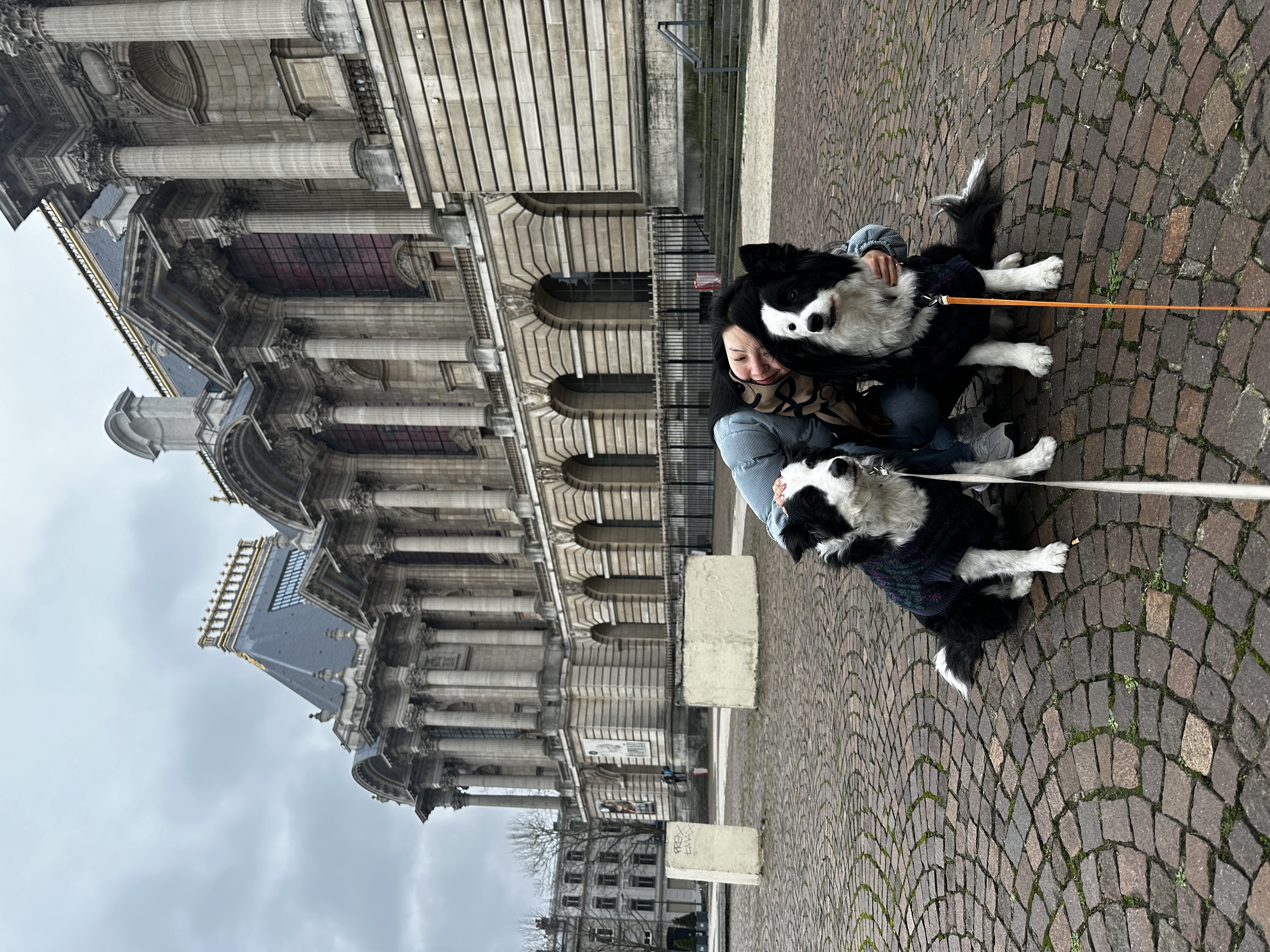 image-12
