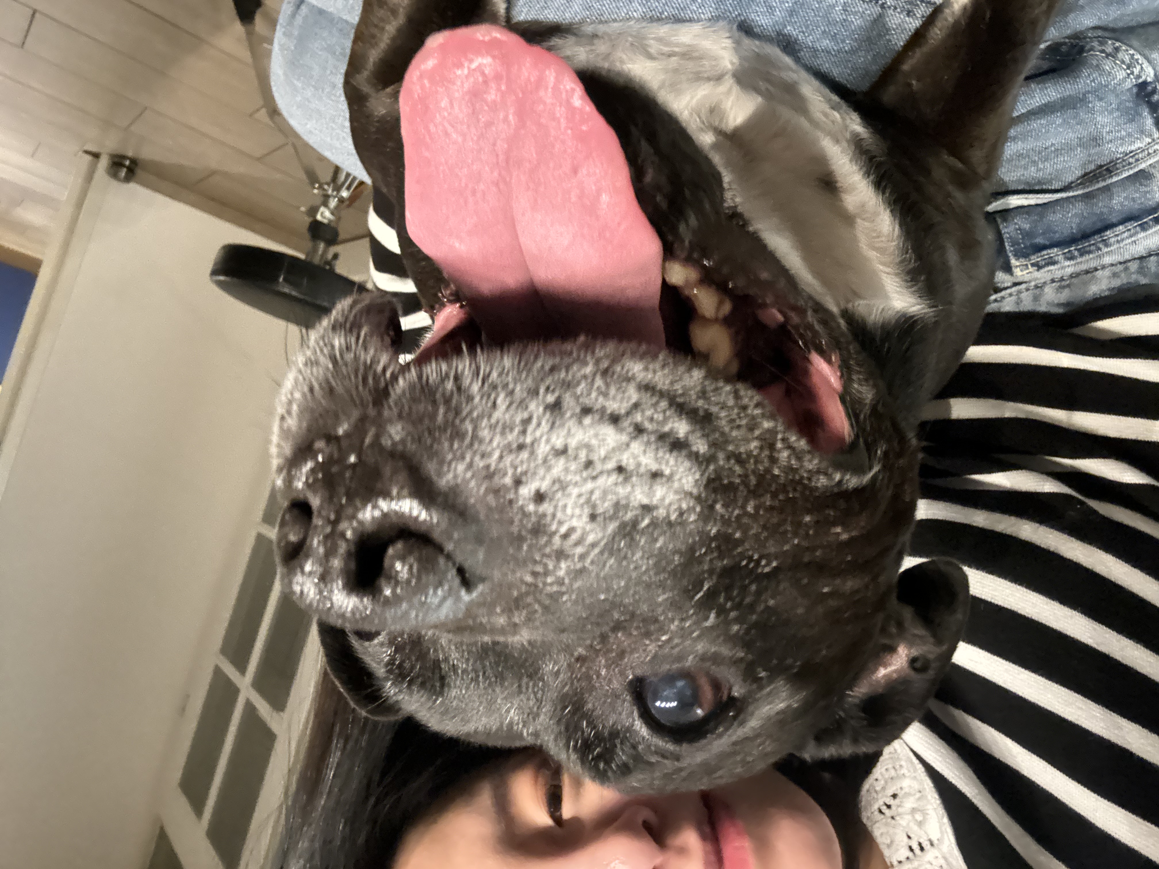 image-6