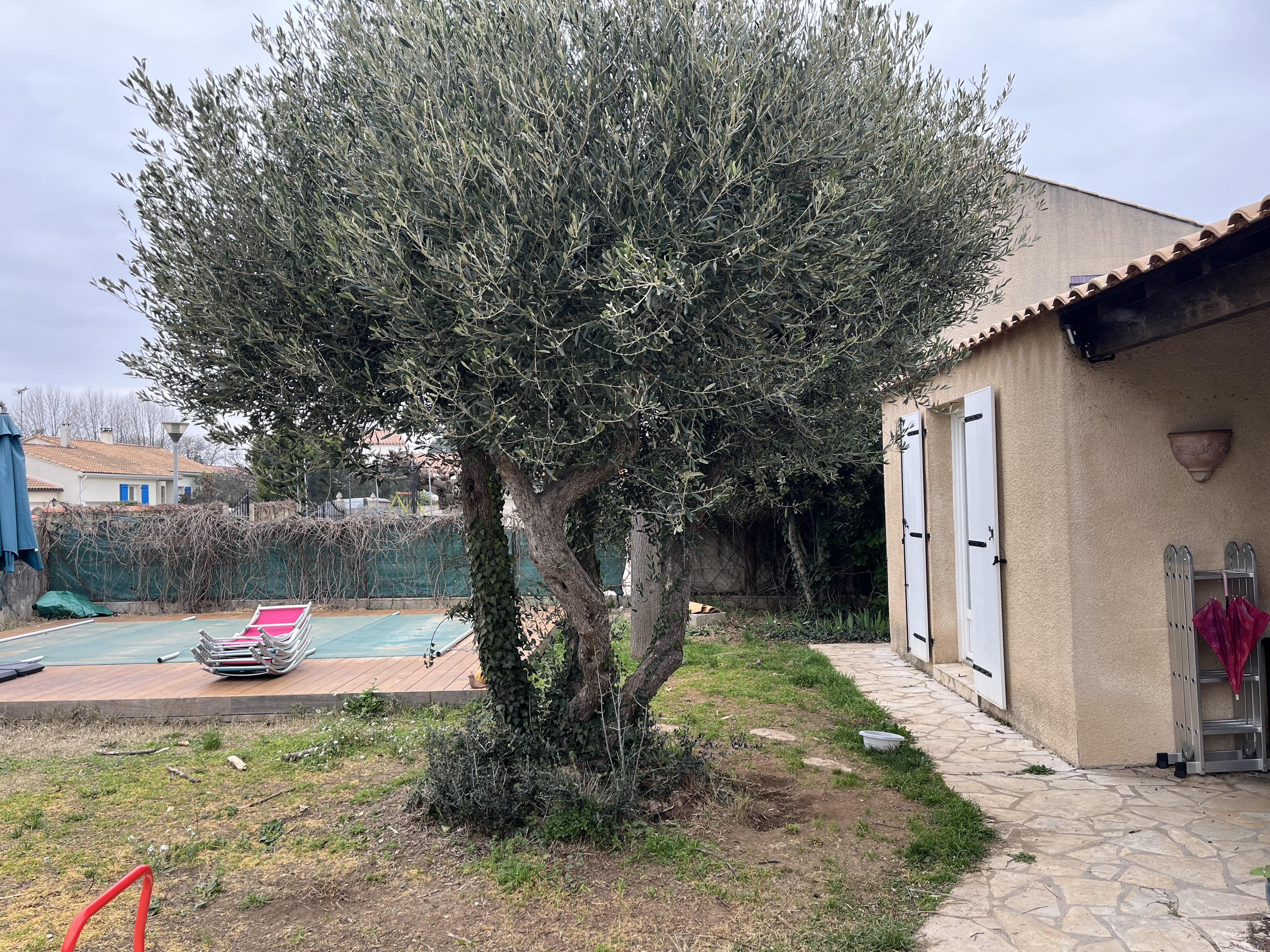 image-19