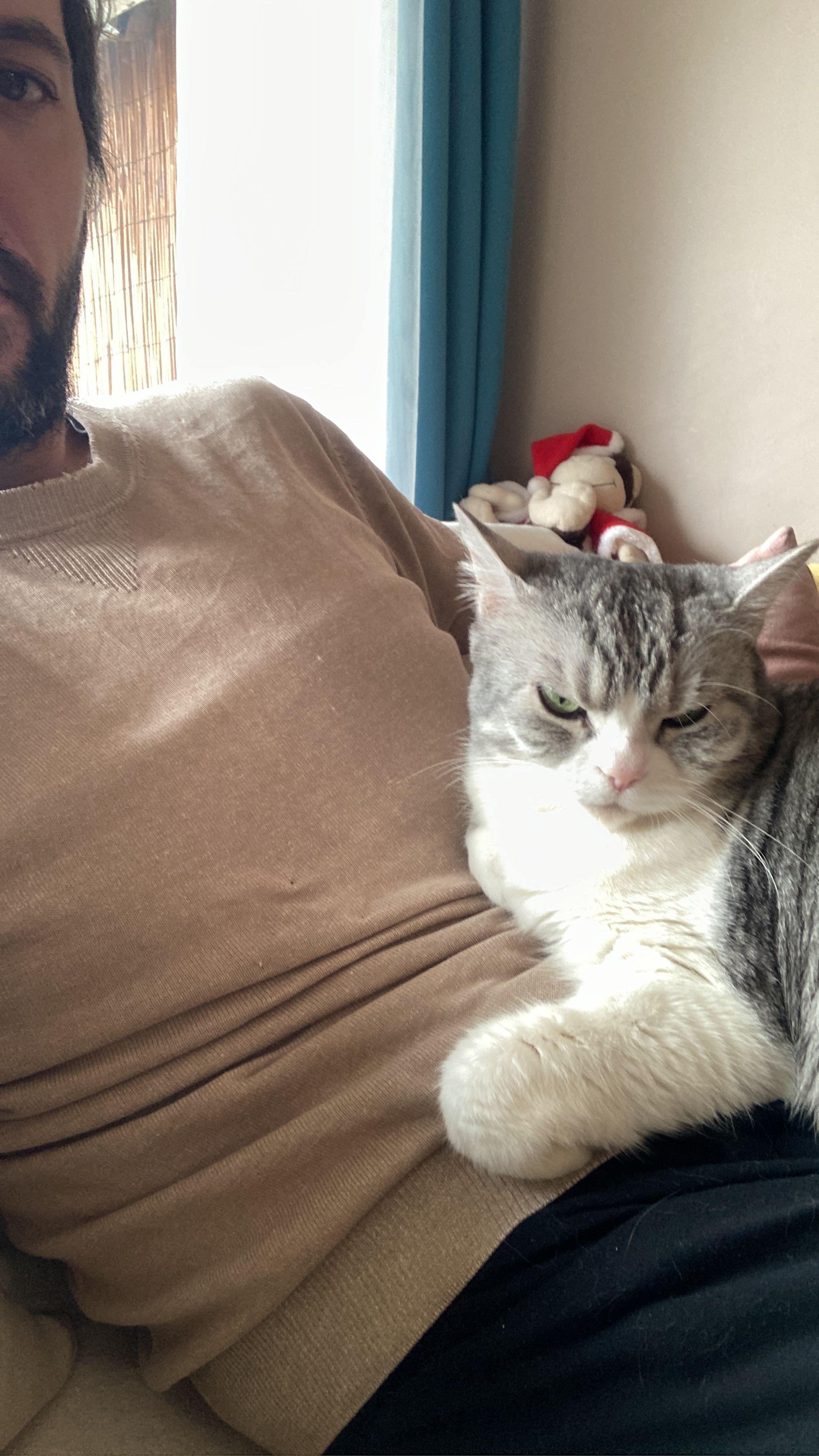 image-6