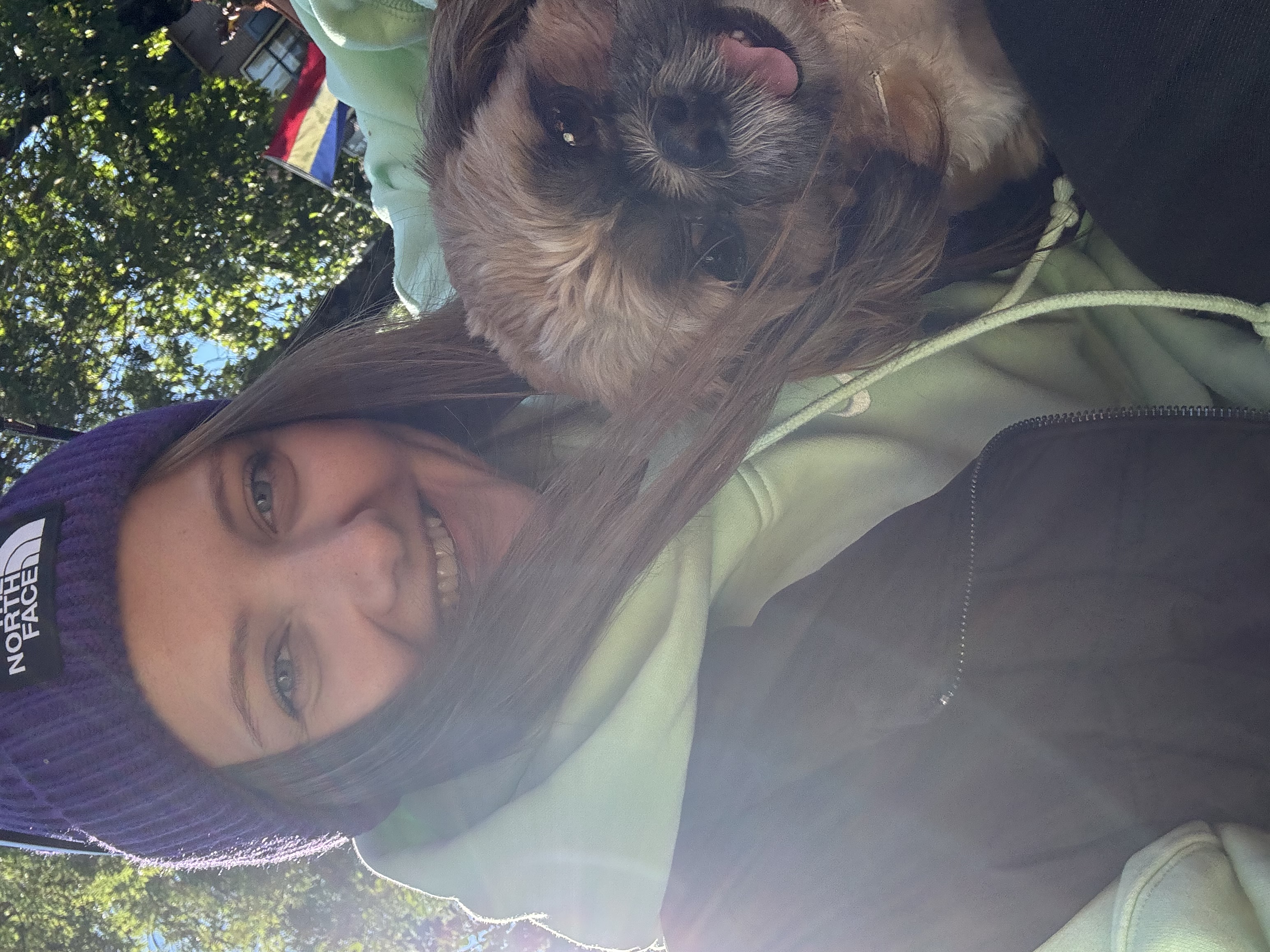 image-7