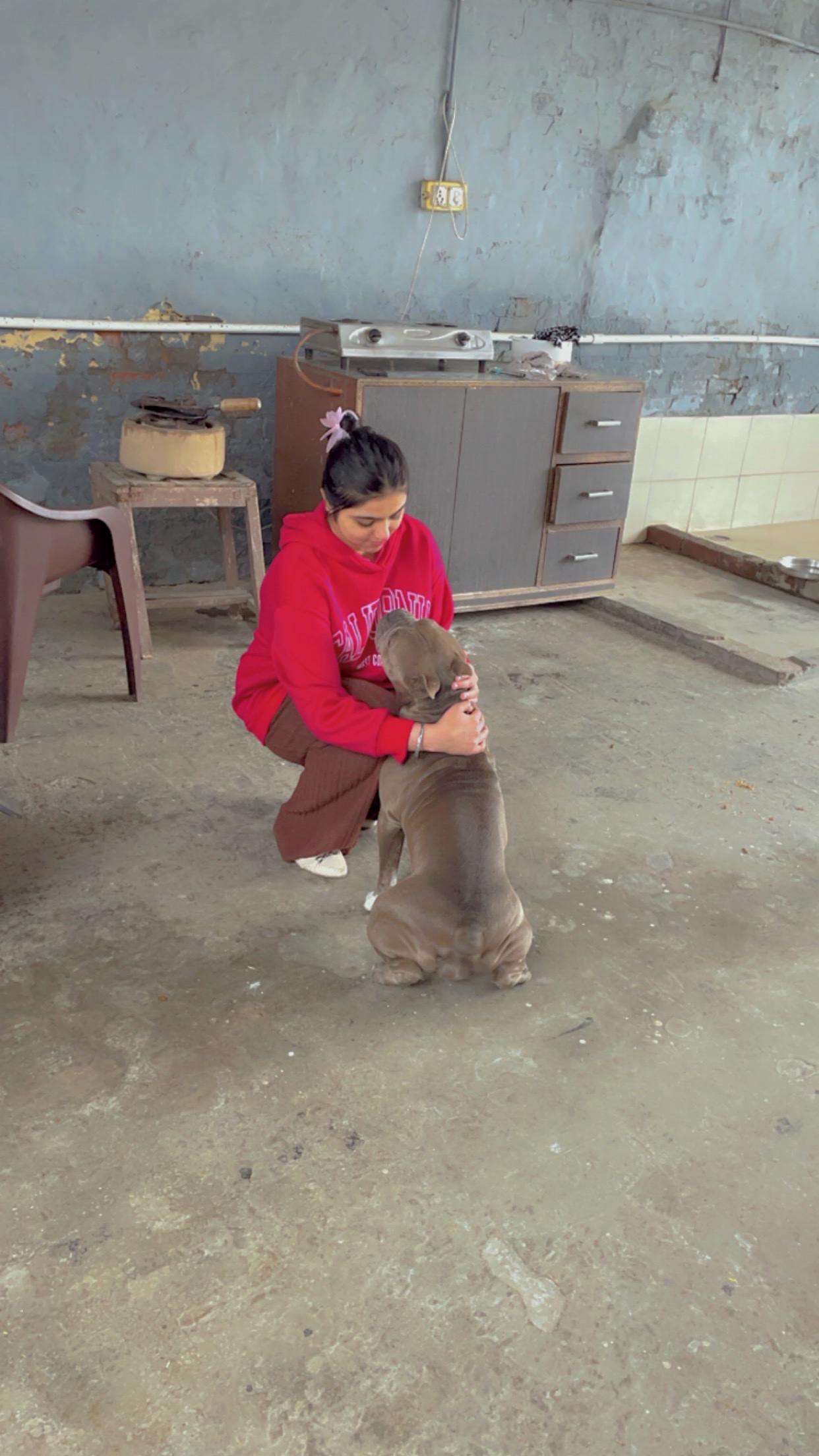 image-6