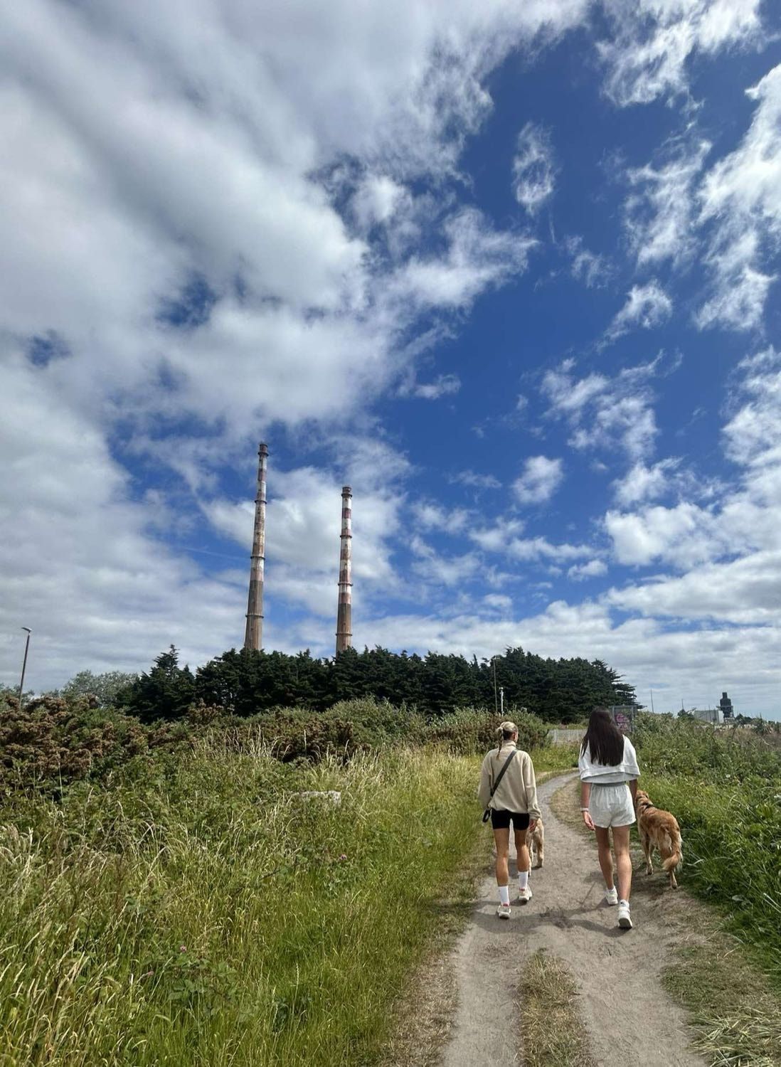 image-2
