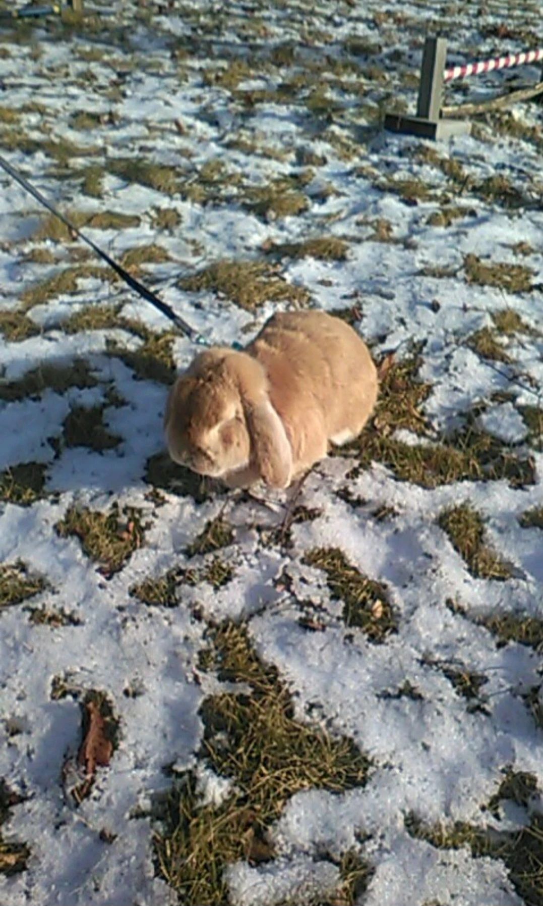 image-15