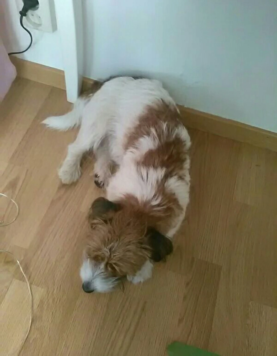 image-11