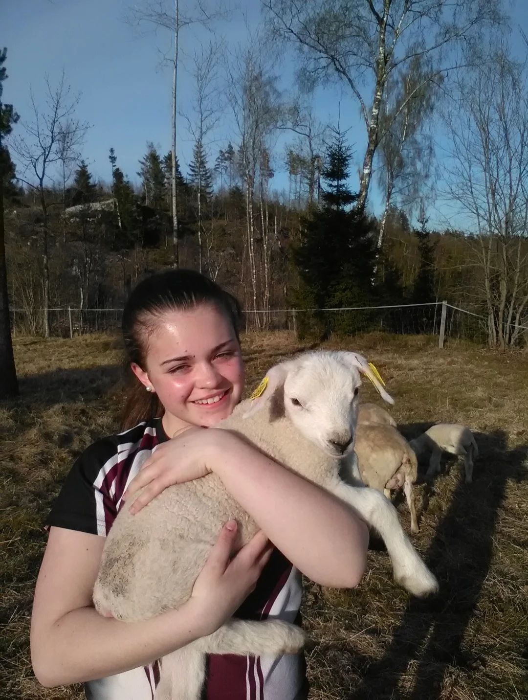 image-8