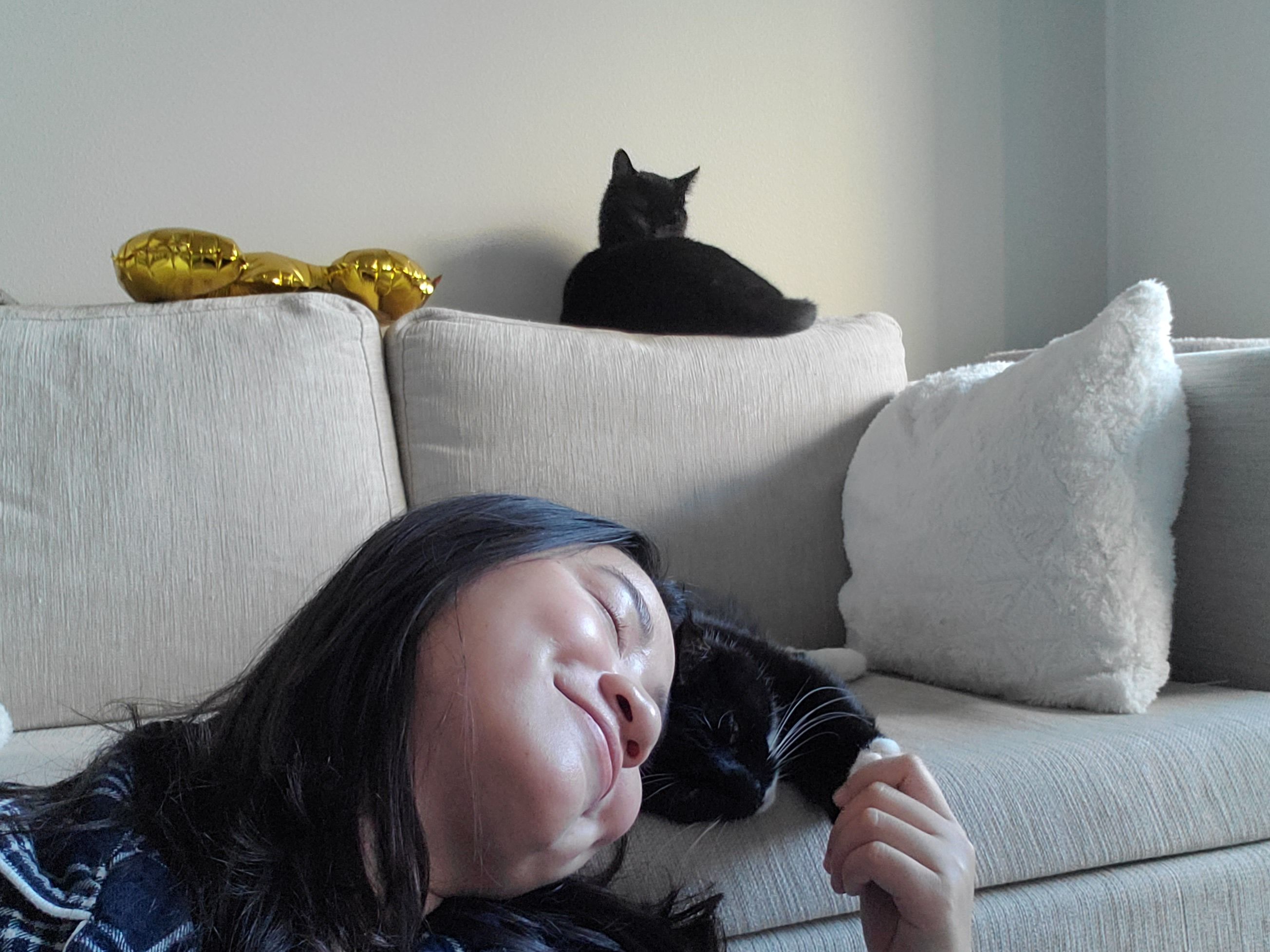 image-3