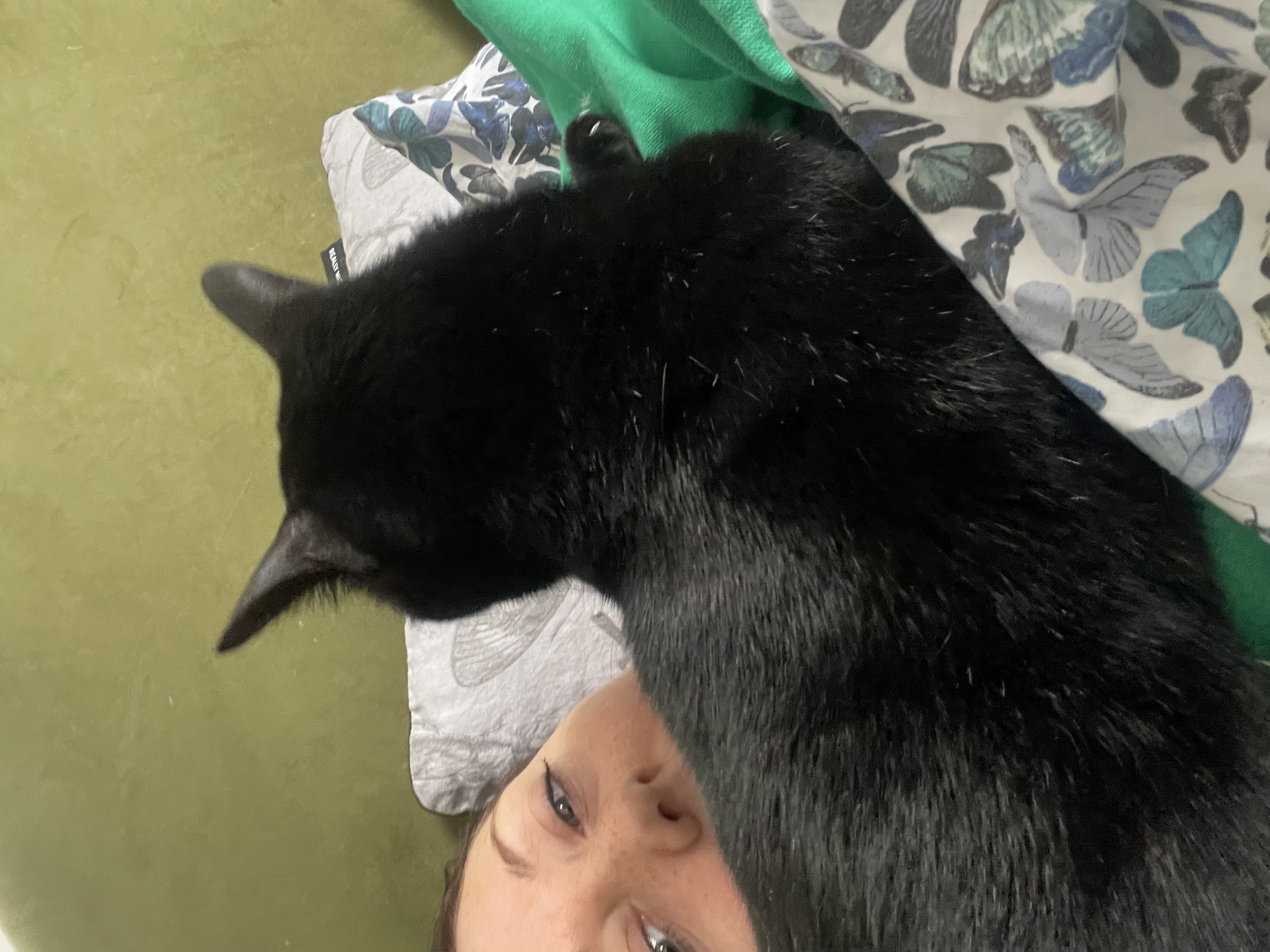 image-6