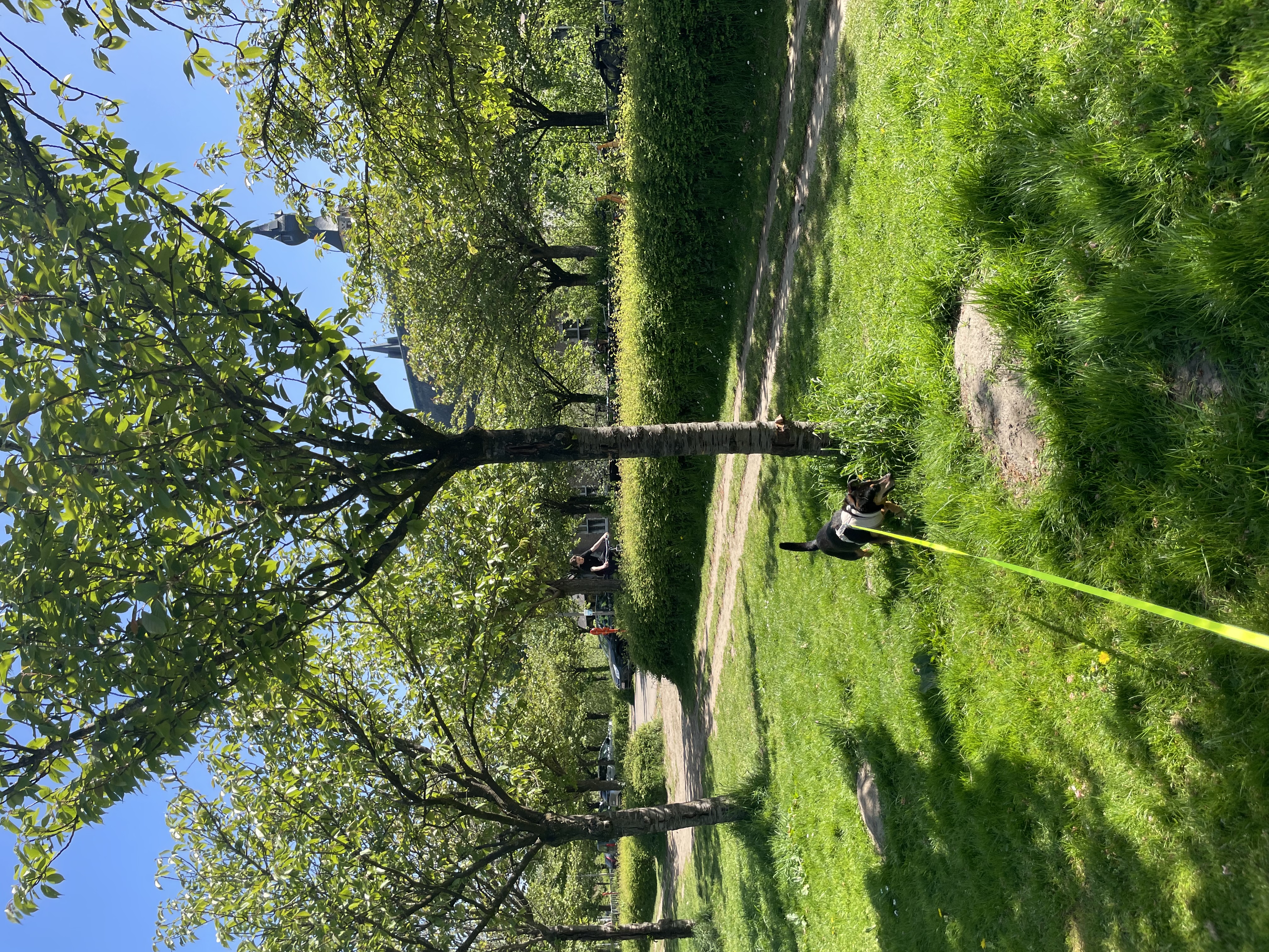 image-7