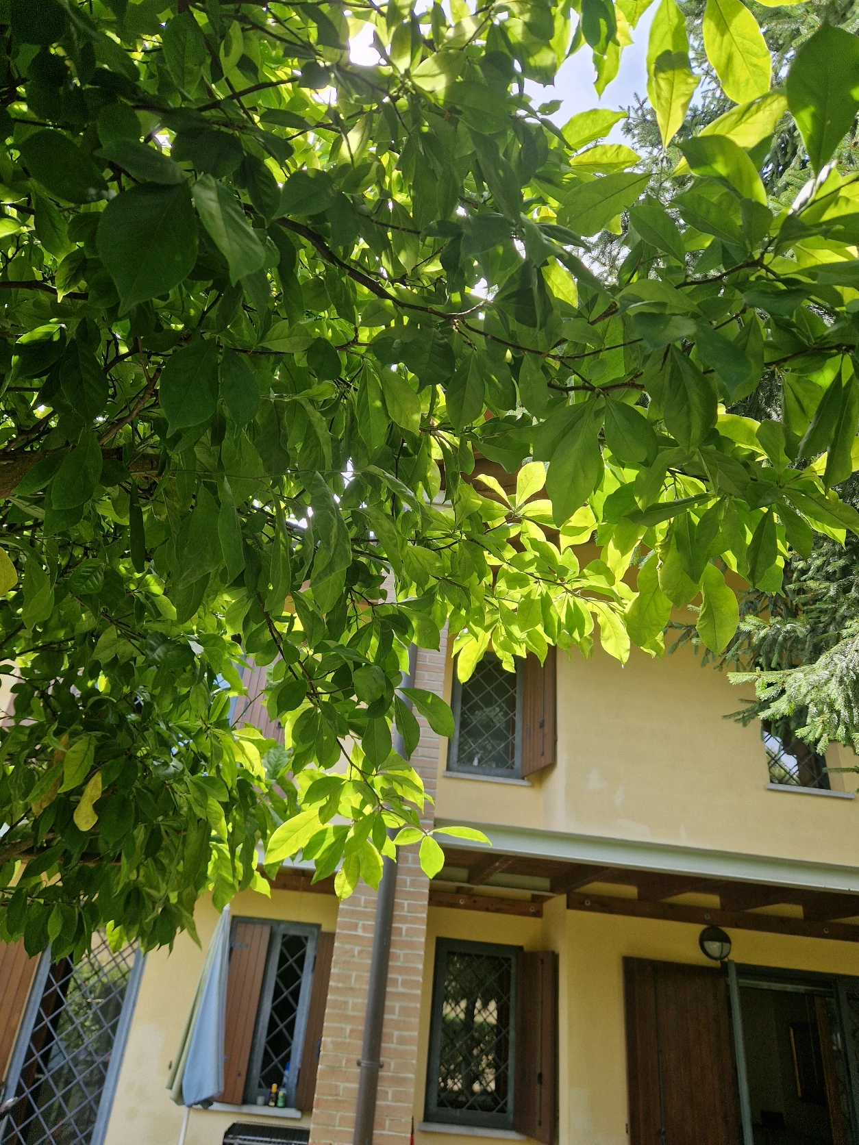 image-13