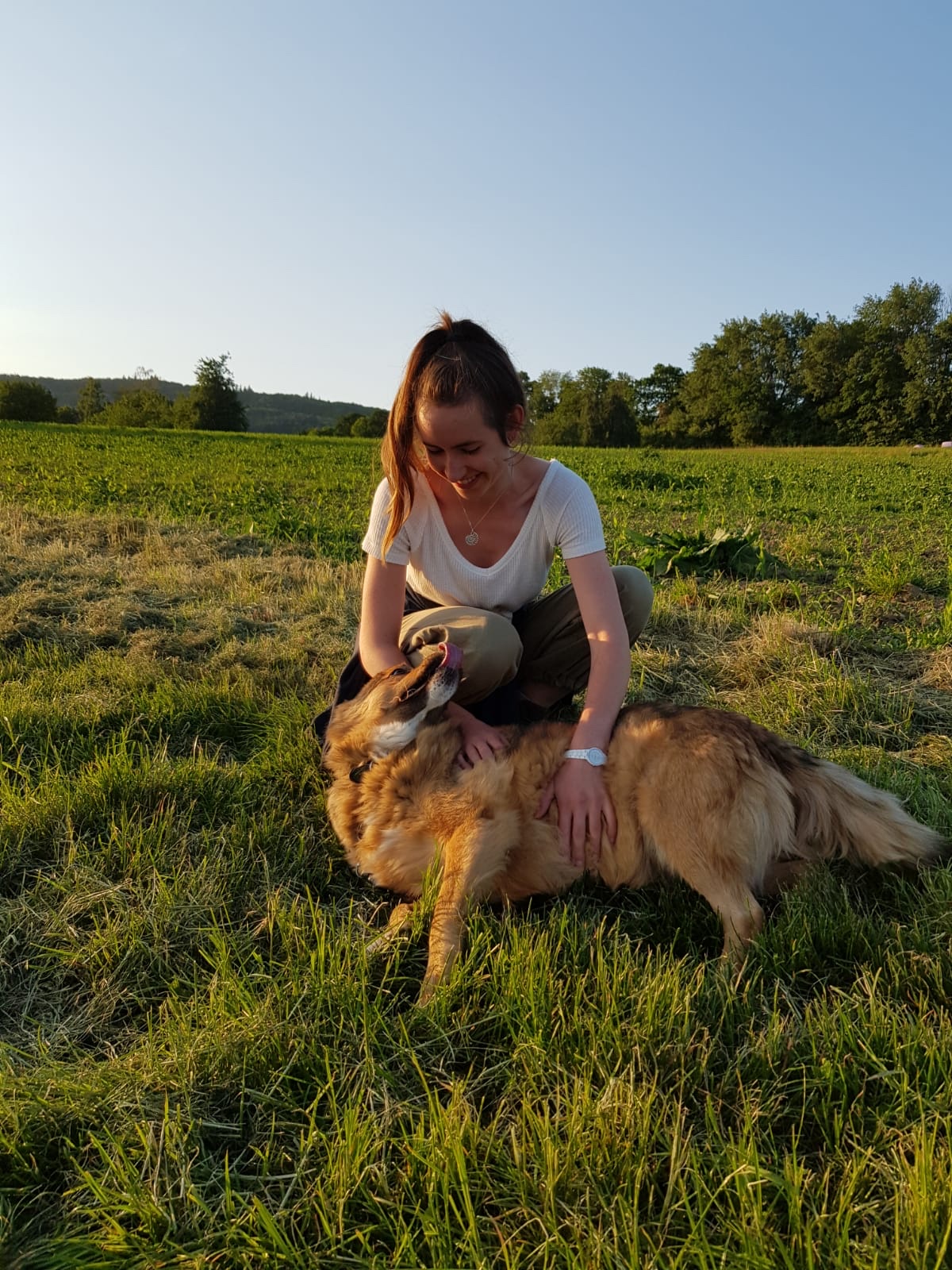 image-11