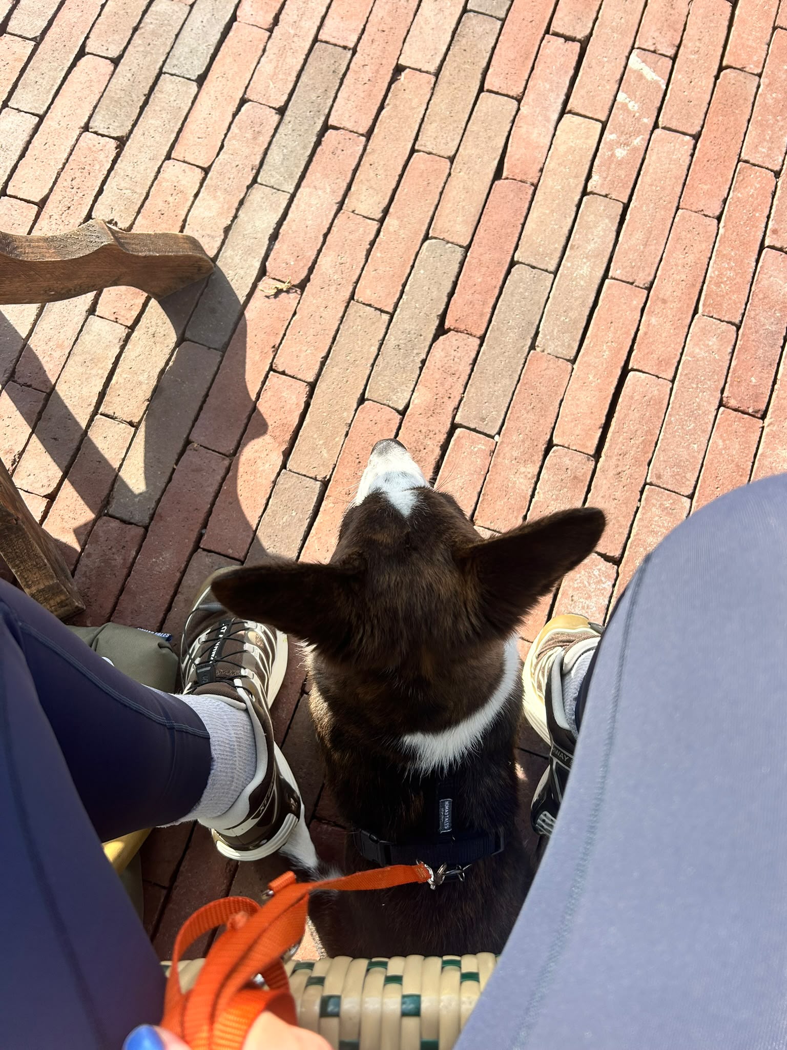 image-15