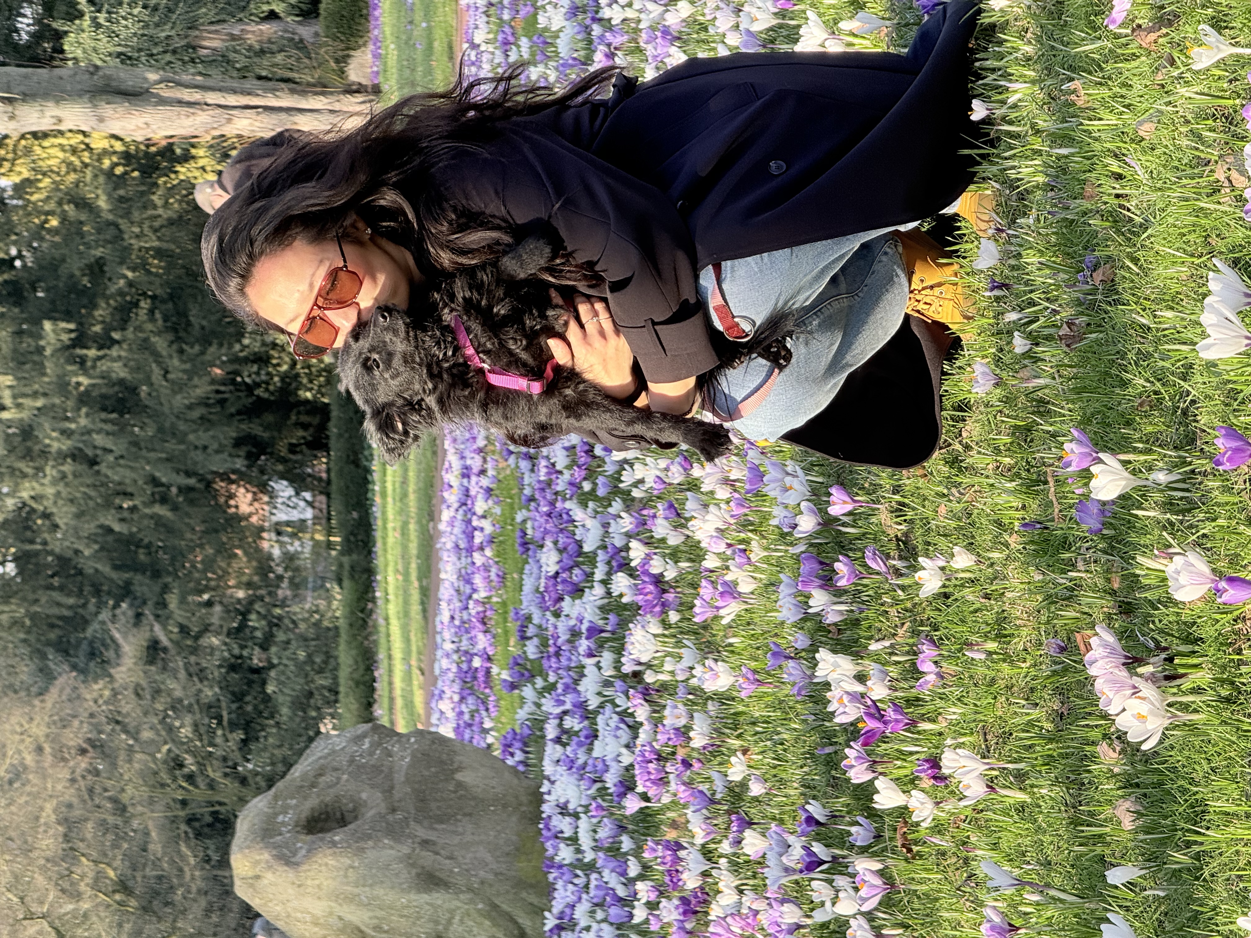 image-0