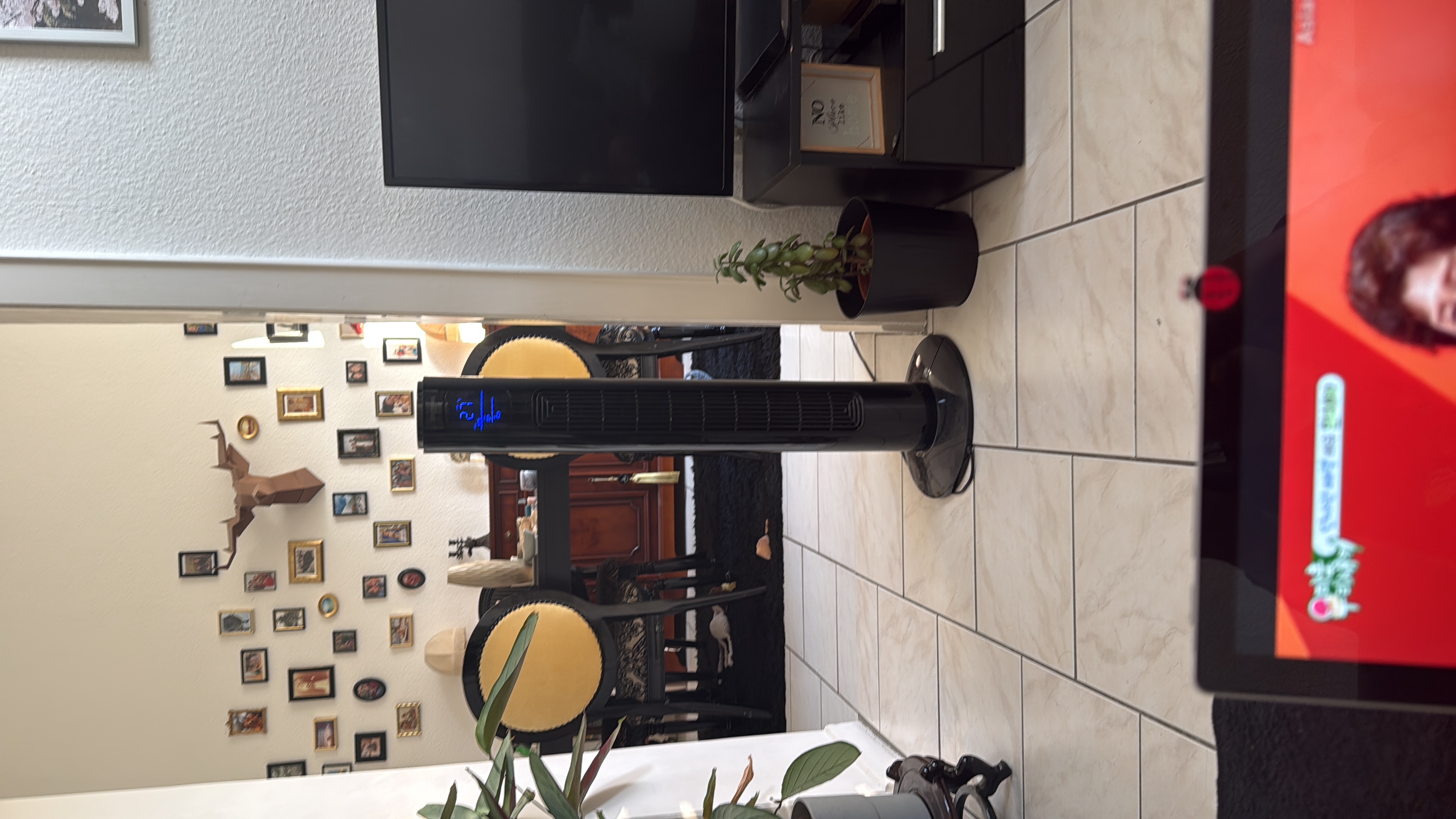image-19