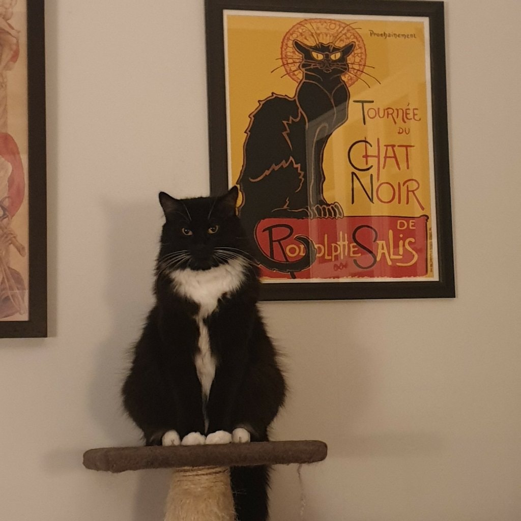 Morty