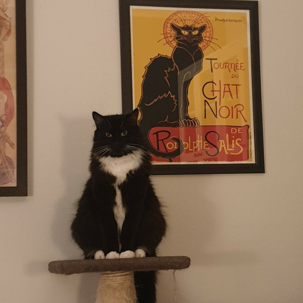 Morty