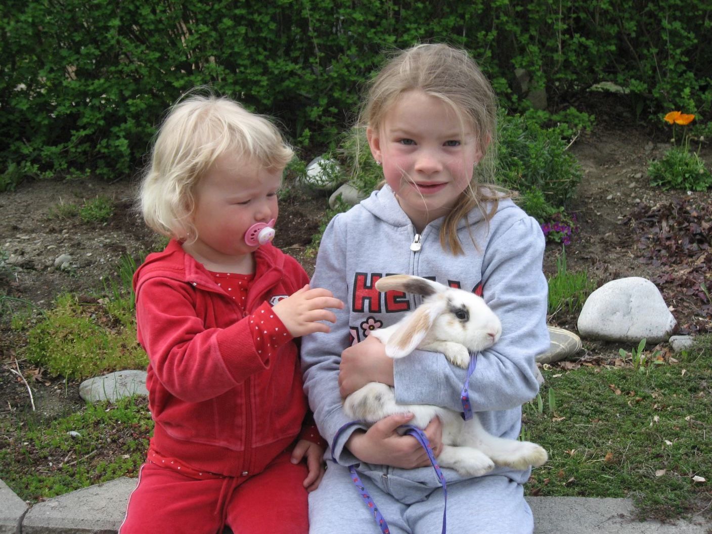 image-9