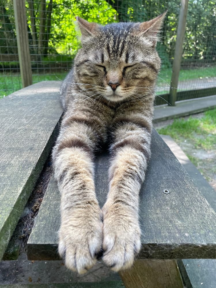 image-62