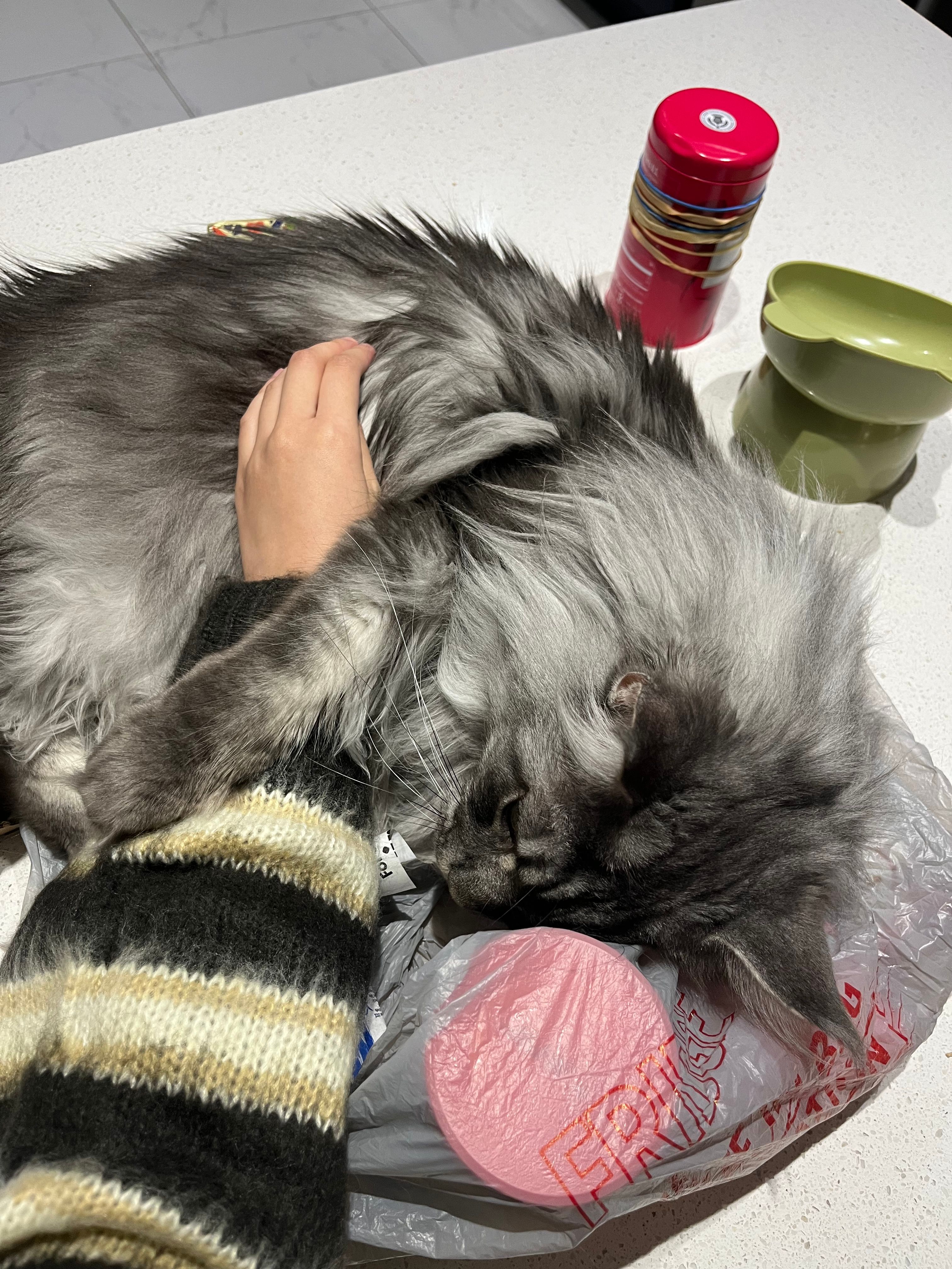 image-8