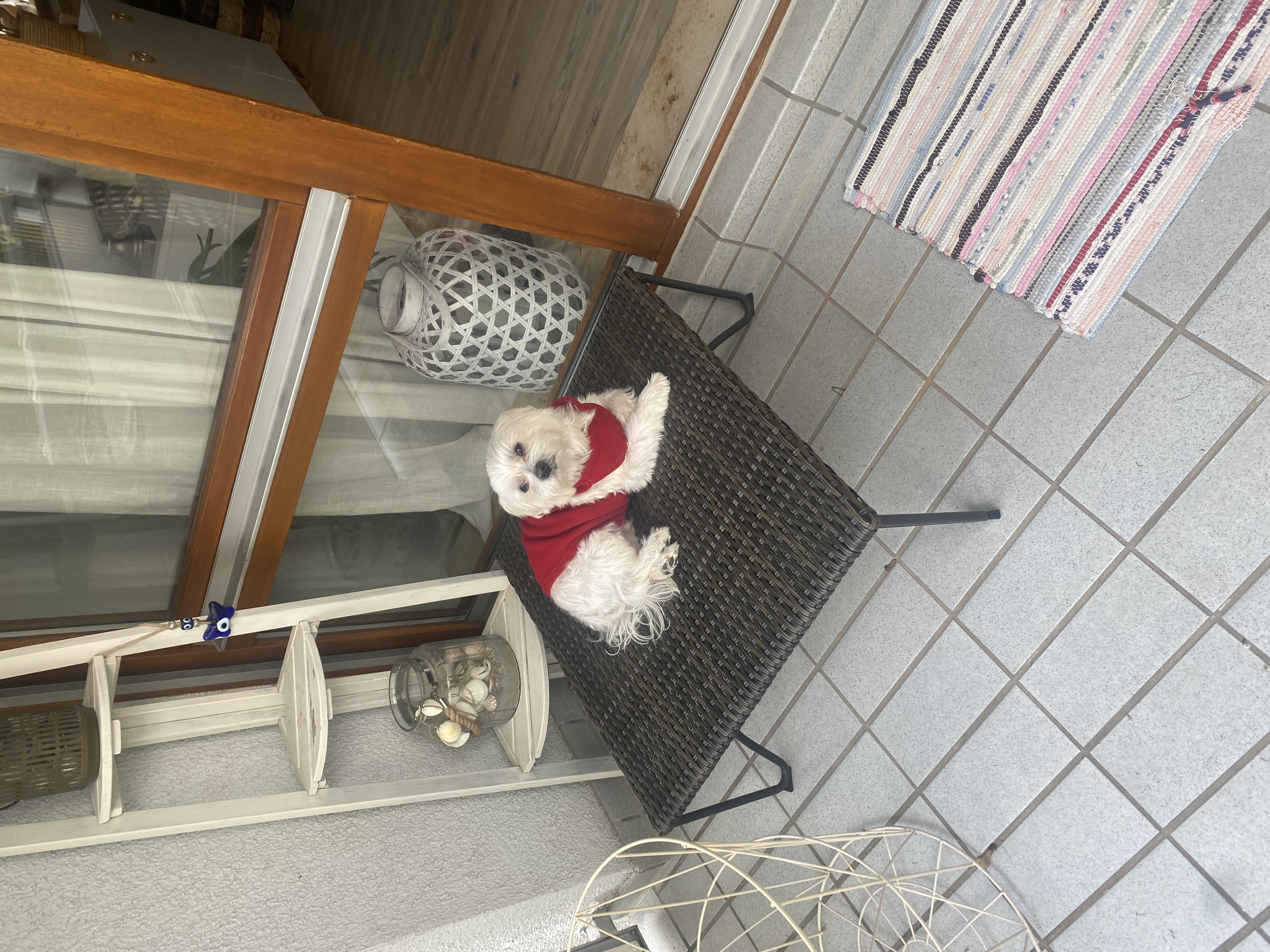 image-9
