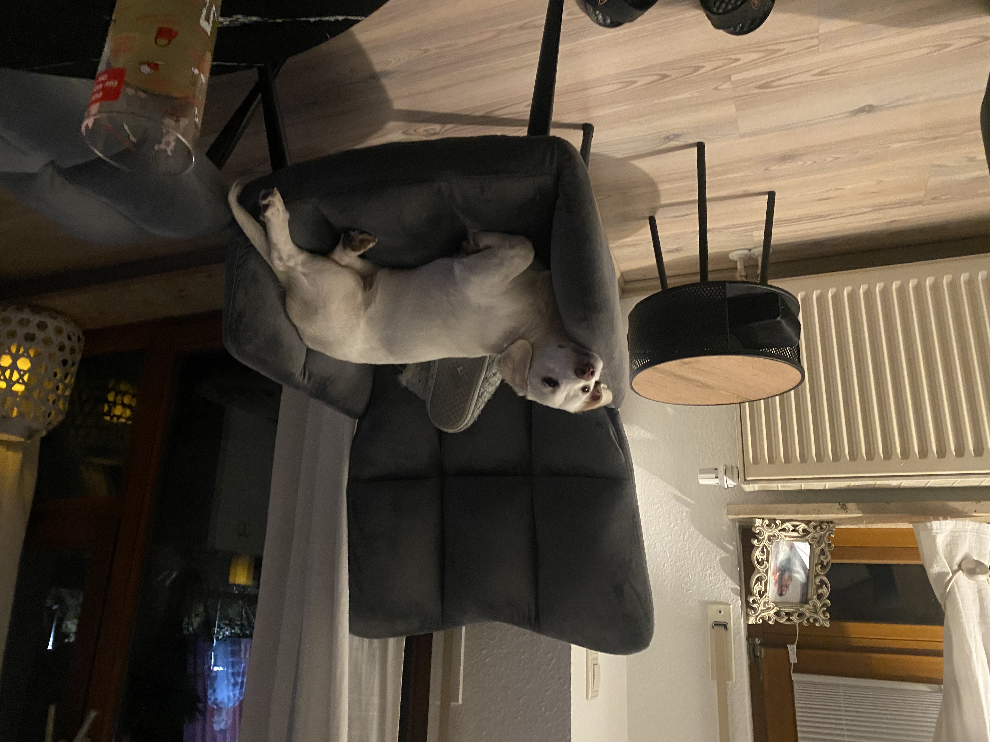 image-16
