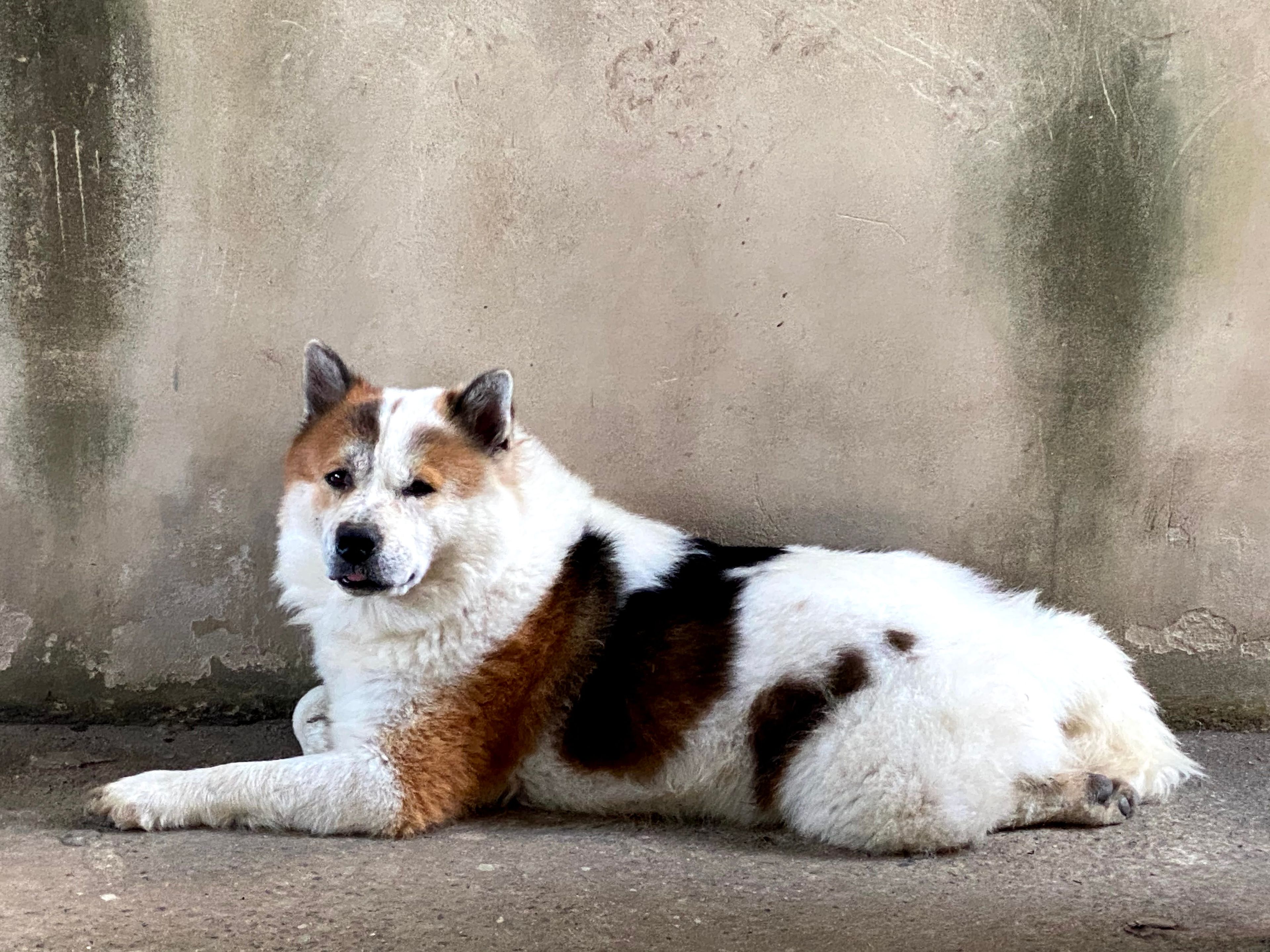 image-6