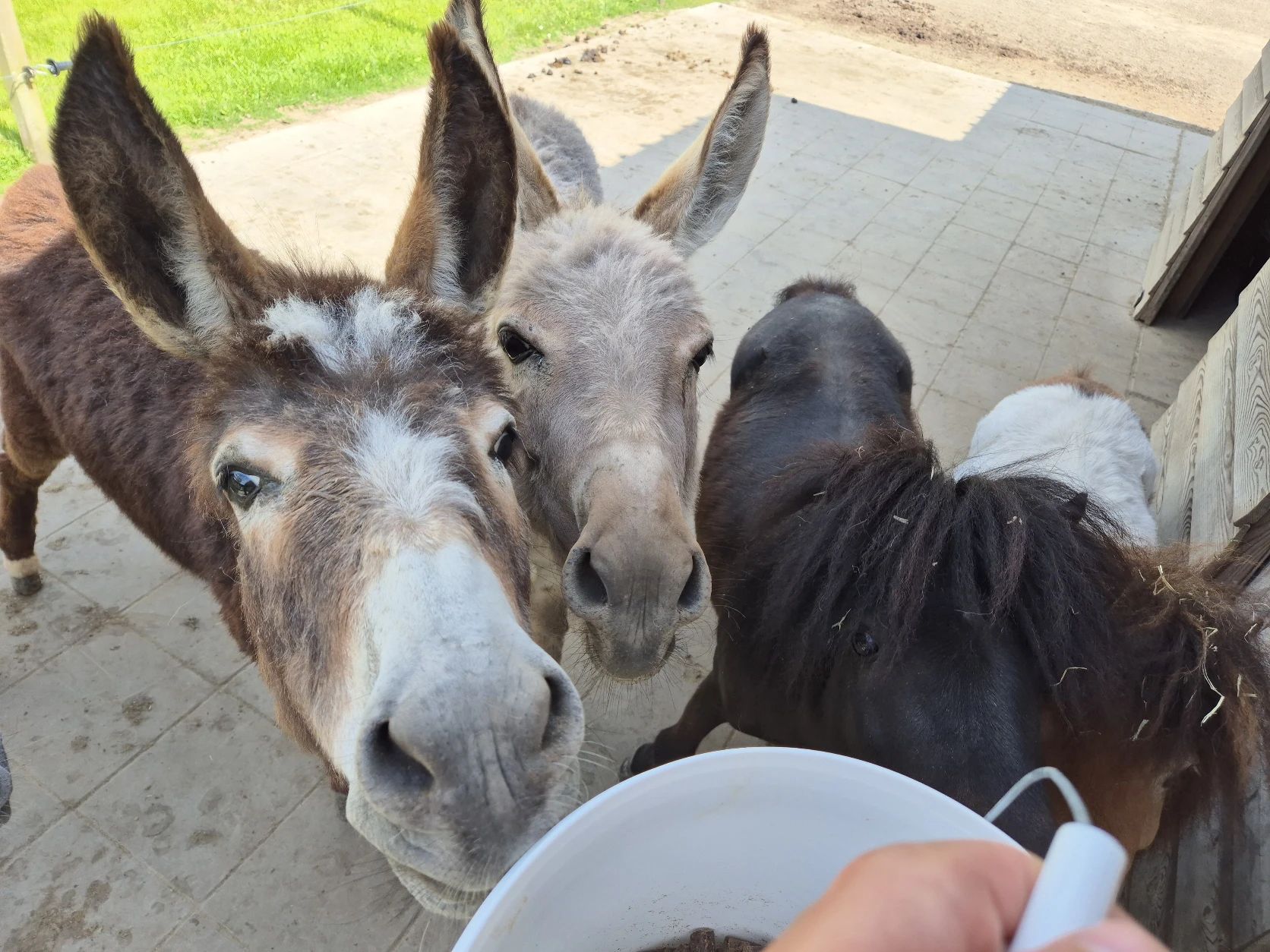 image-11