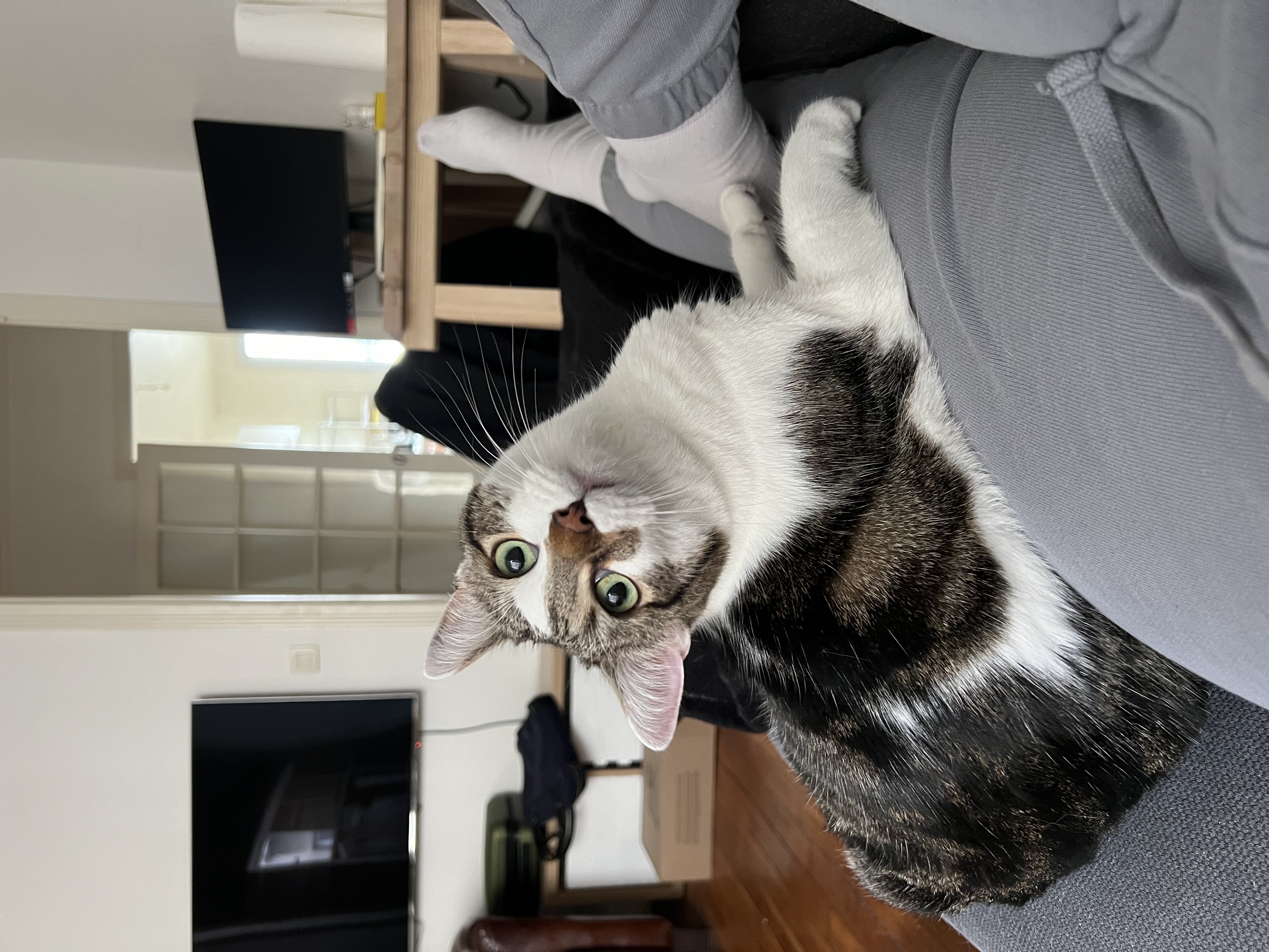 image-6