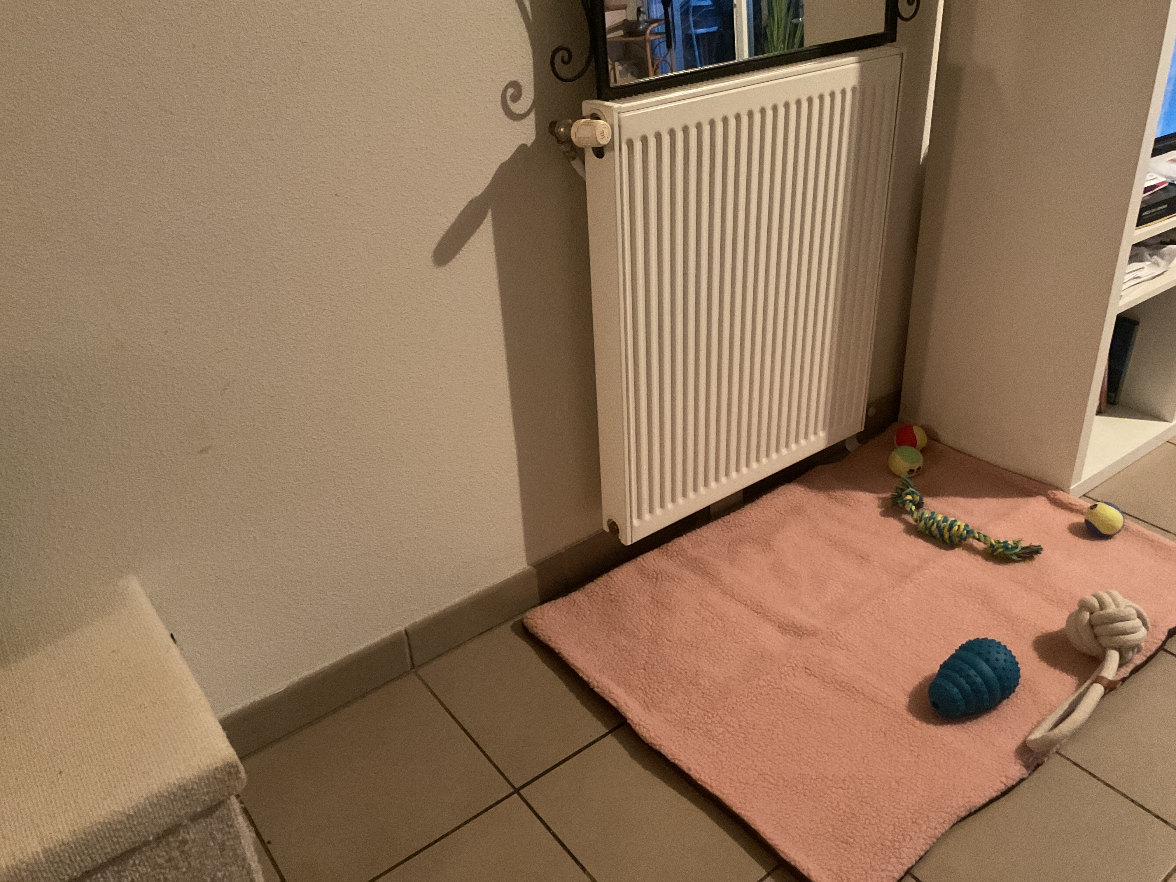 image-11