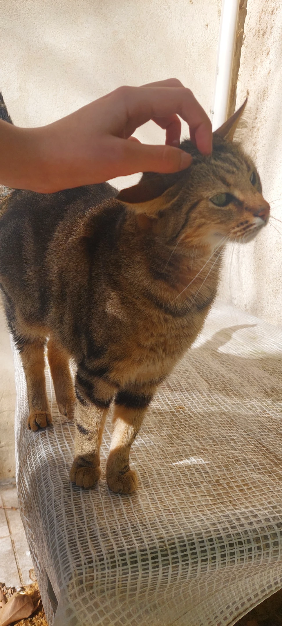 image-6