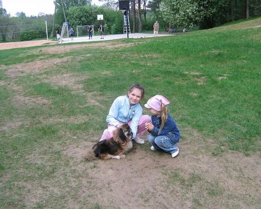 image-3