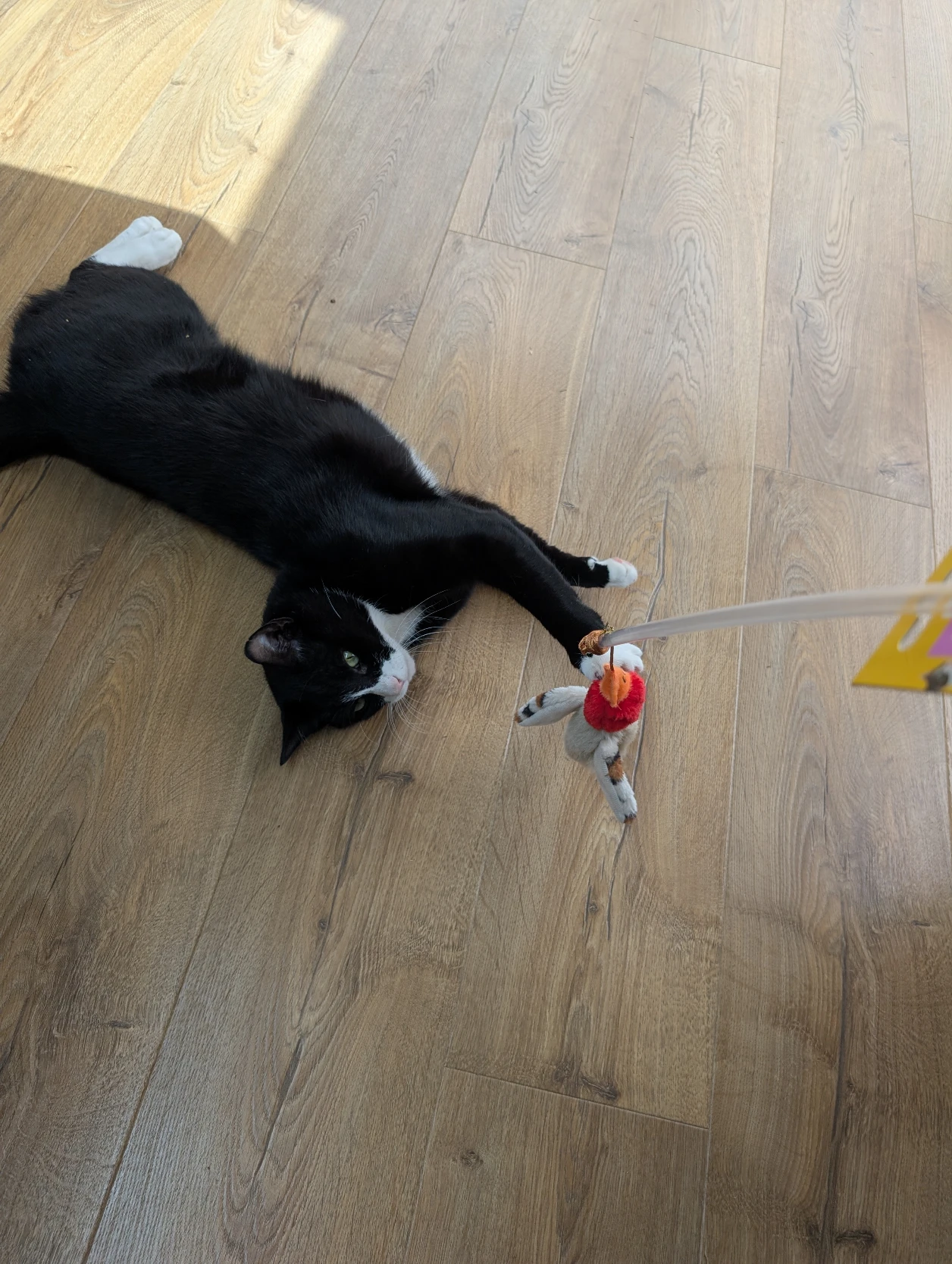 image-12