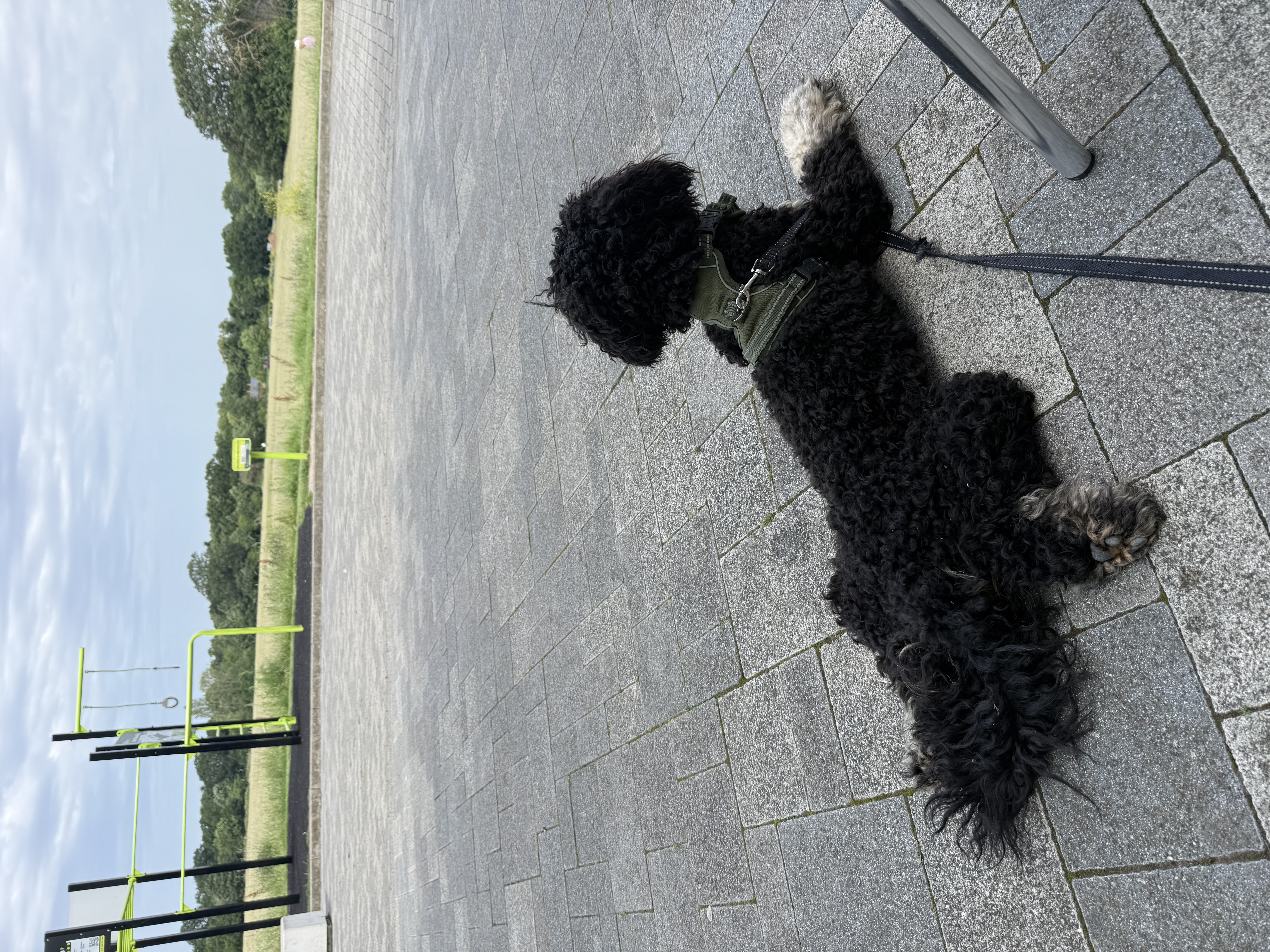 image-5