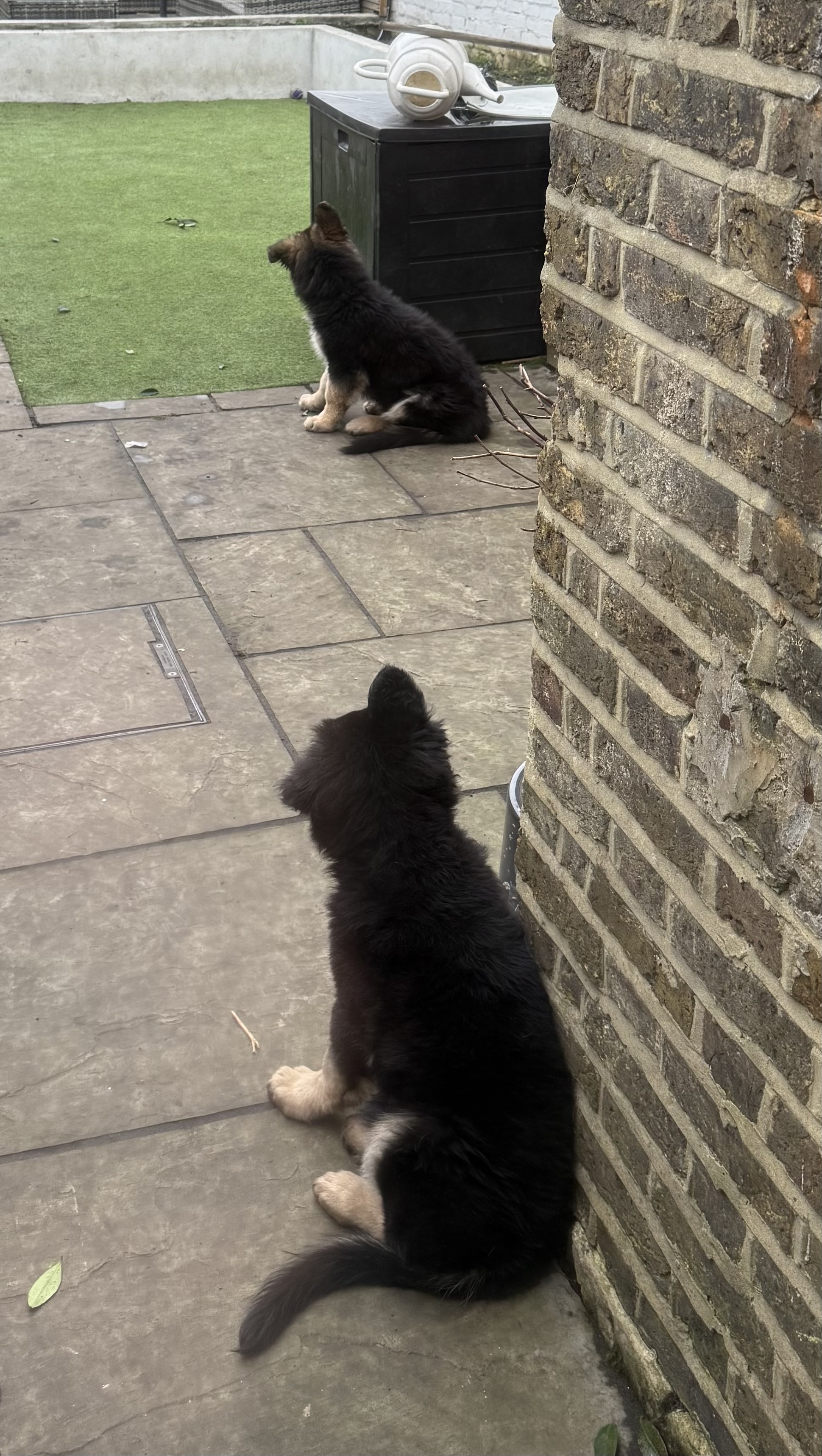 image-24