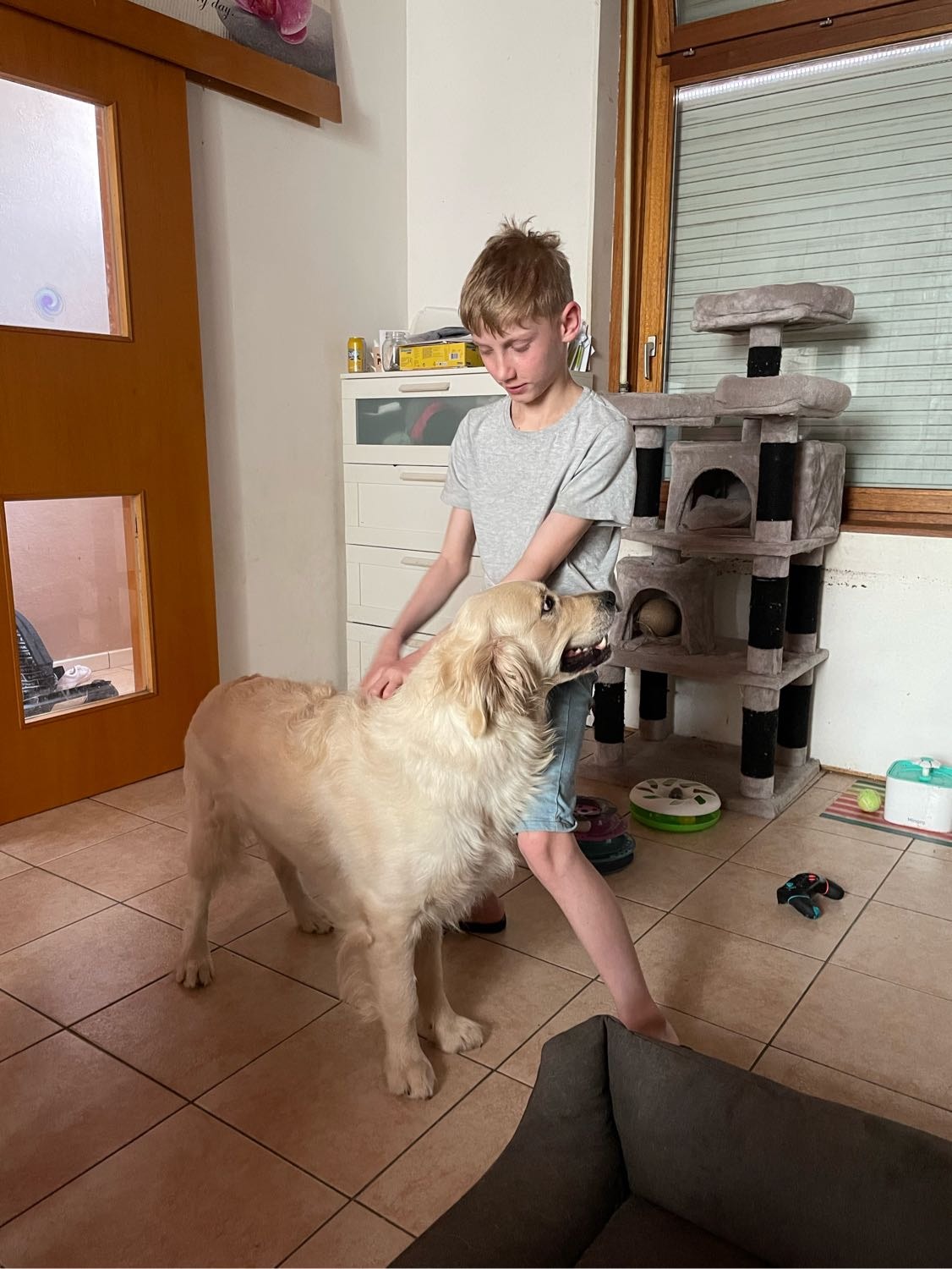 image-21