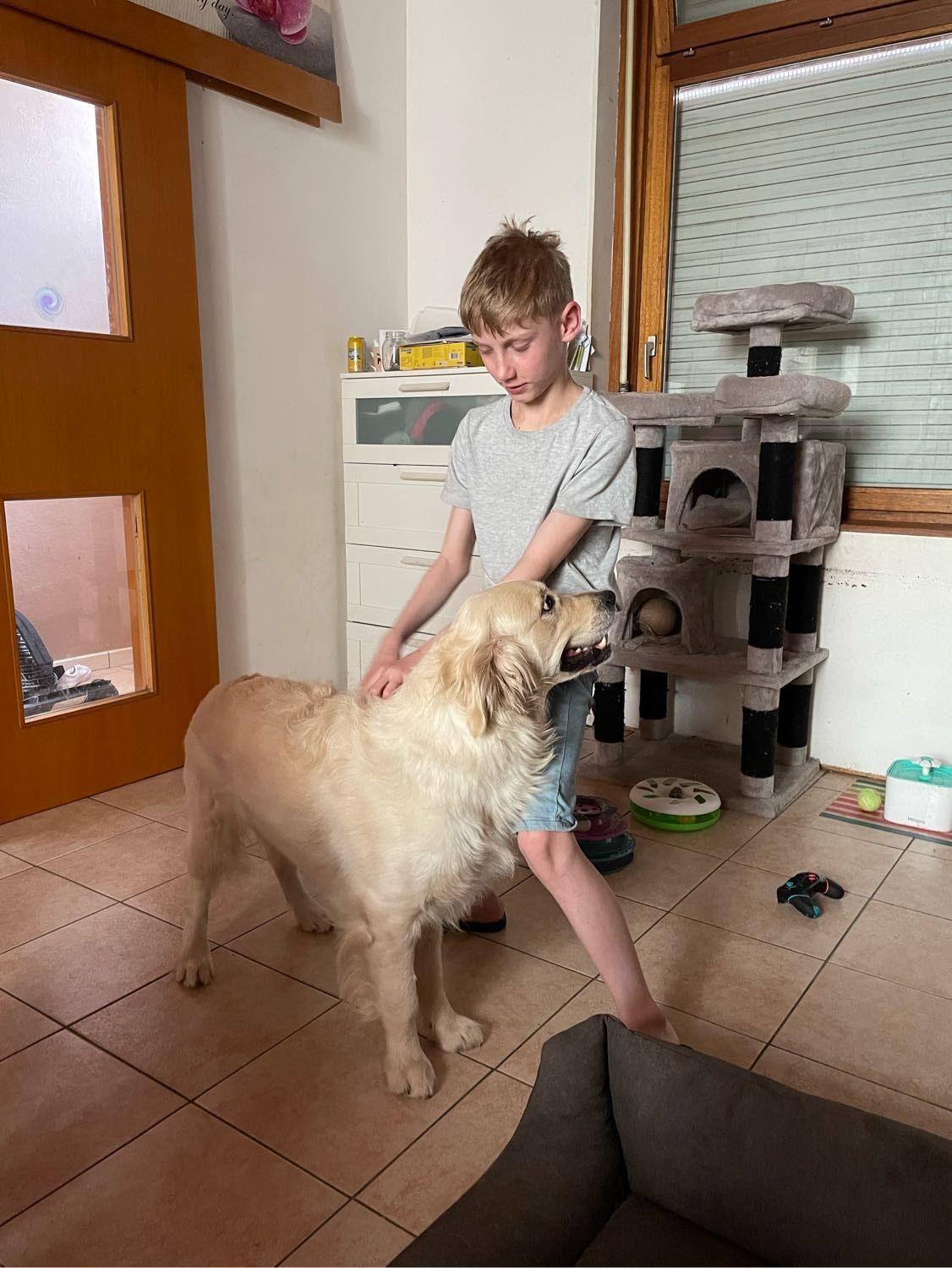 image-21