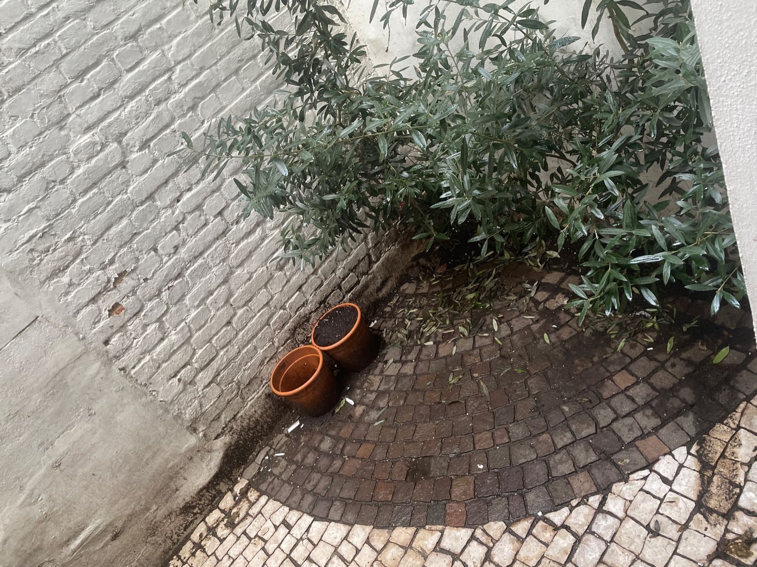 image-19