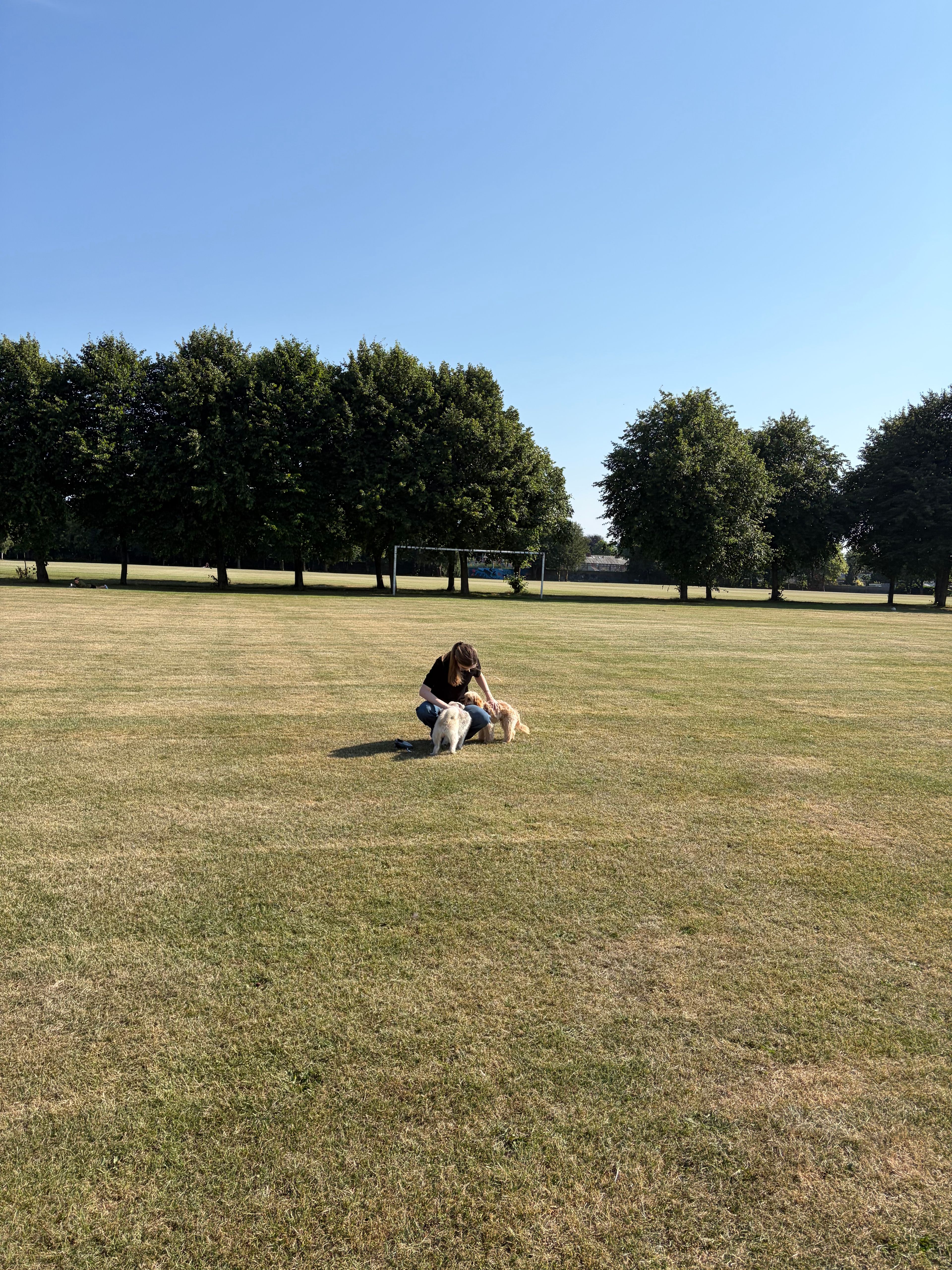 image-14