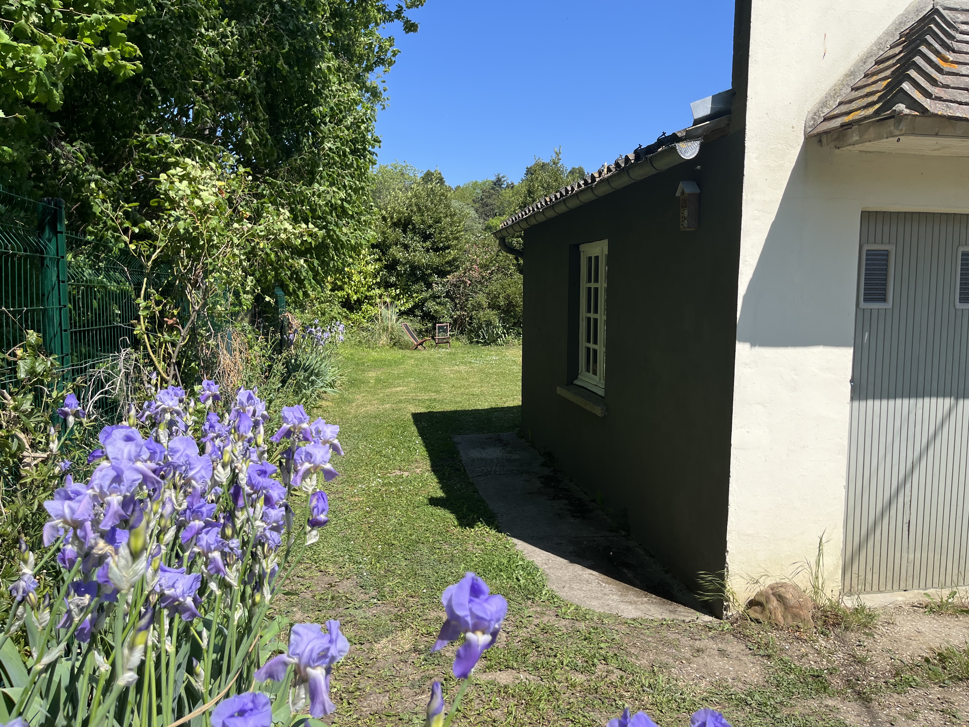 image-15