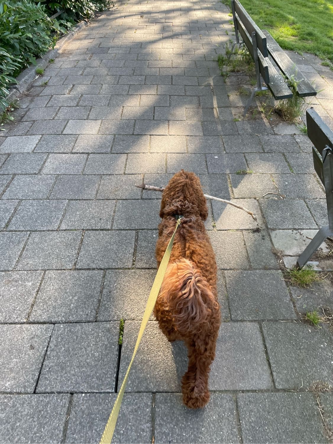 image-6