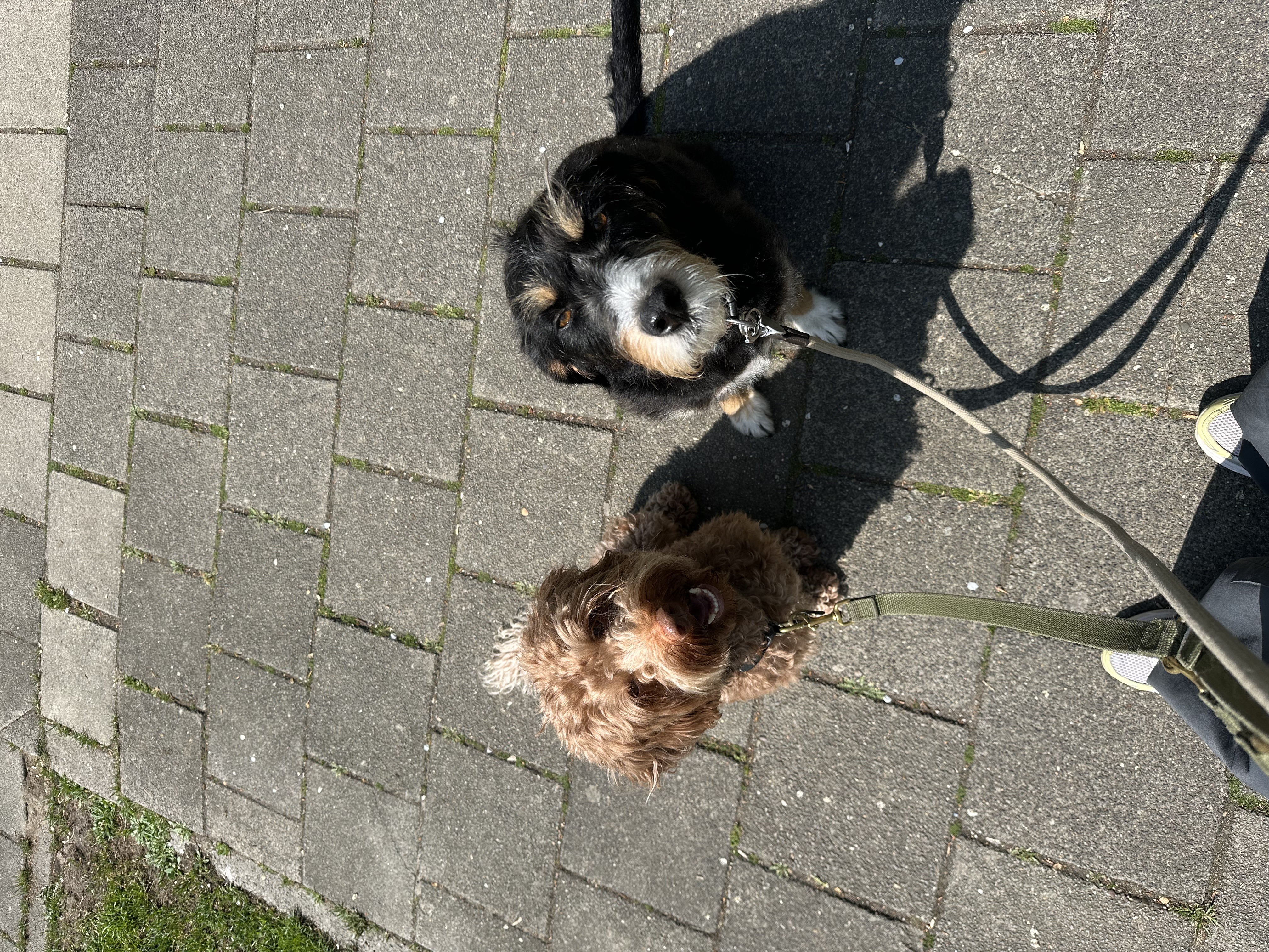 image-15