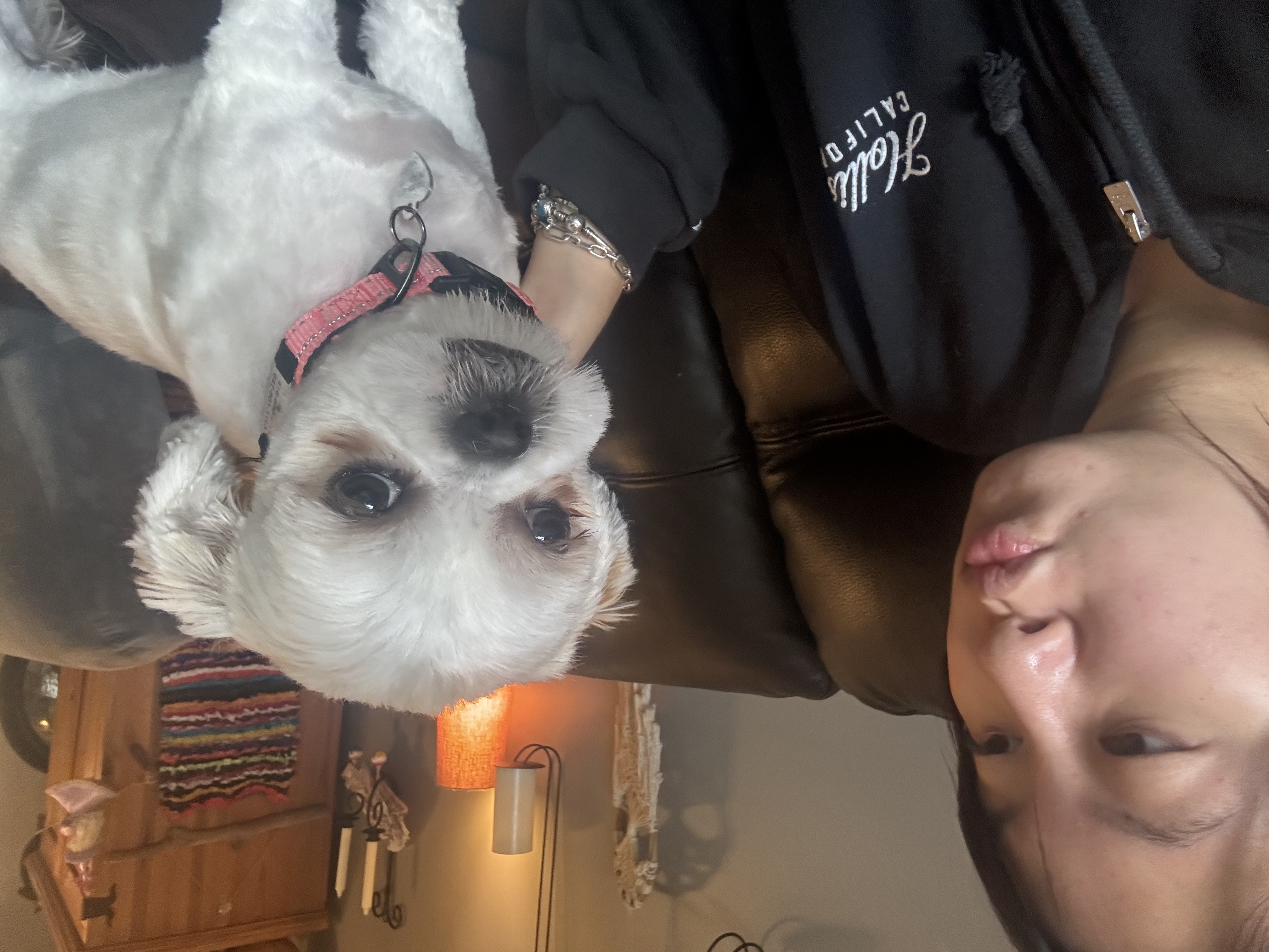 image-18