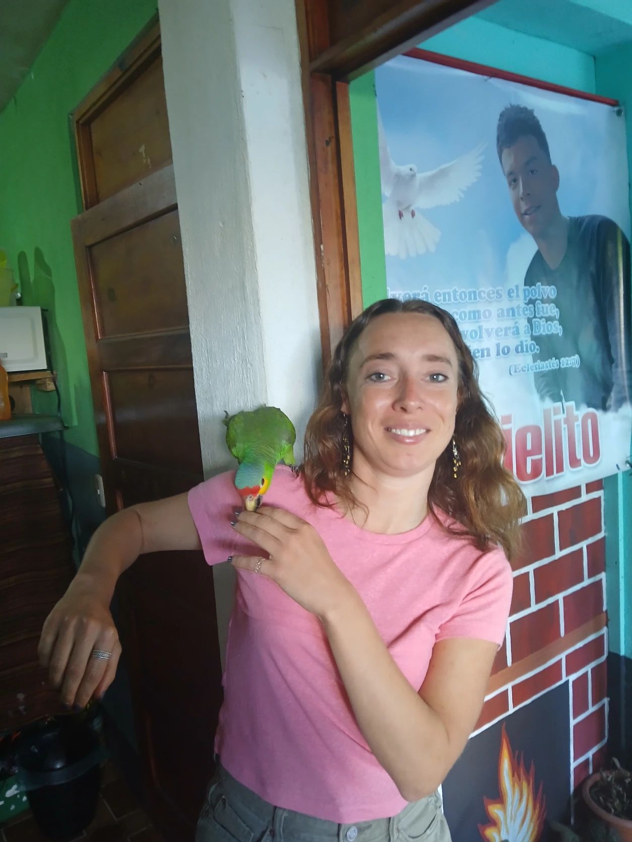 image-5