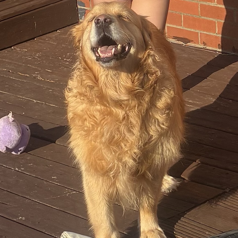 Barney 